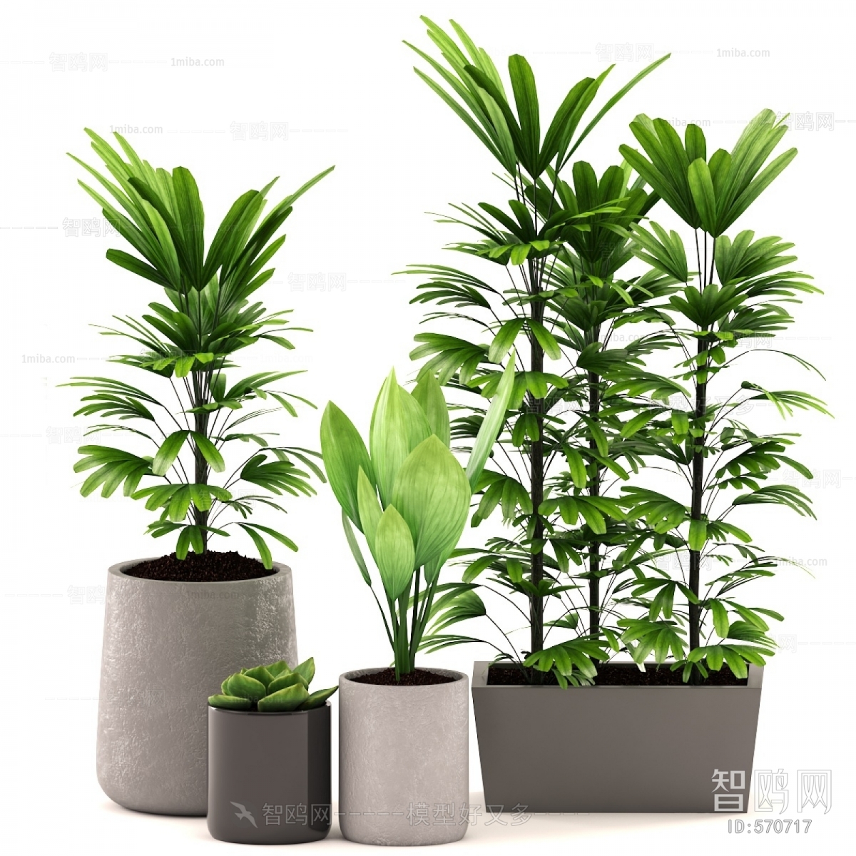 Modern Potted Green Plant