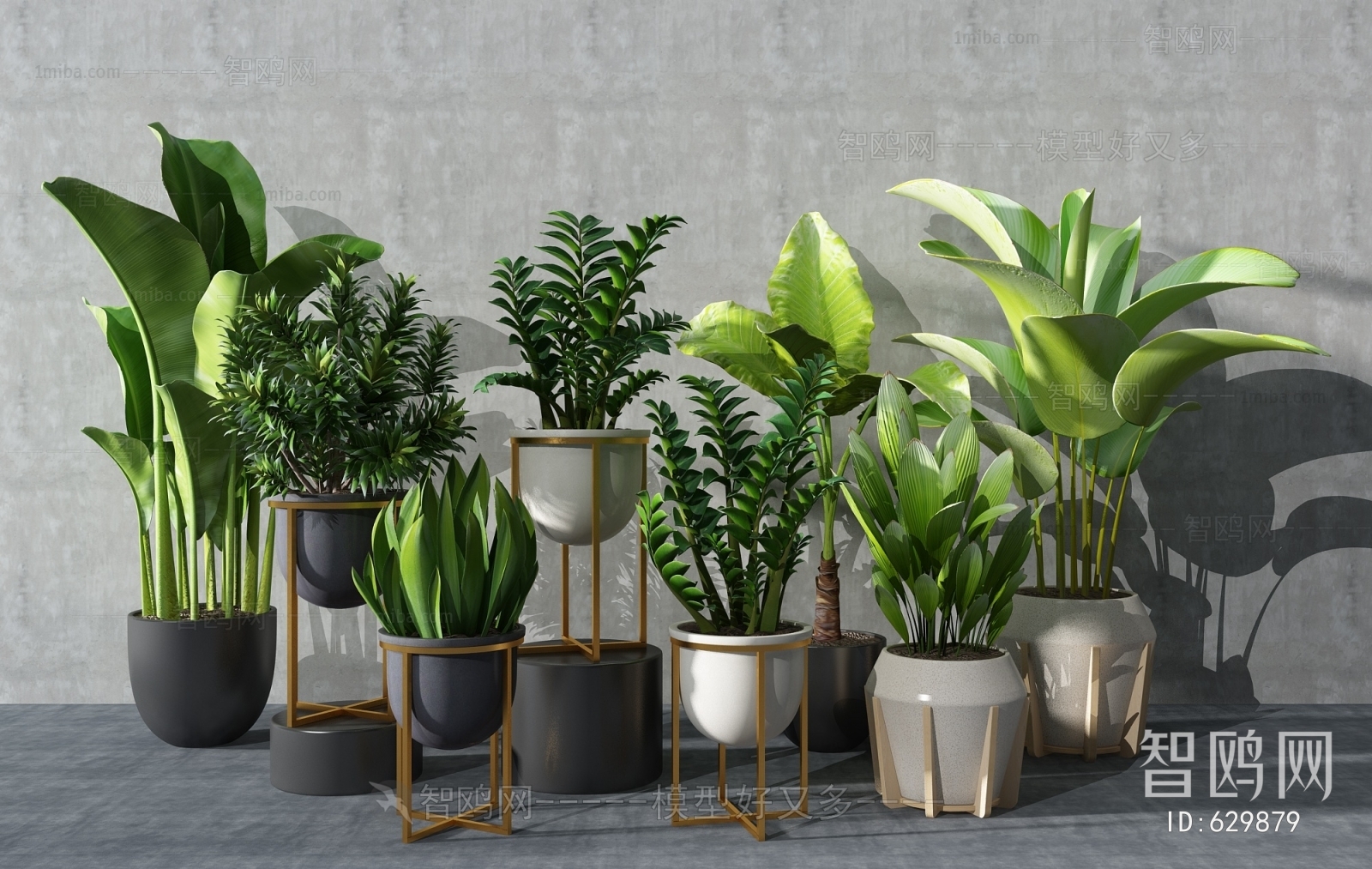 Modern Potted Green Plant