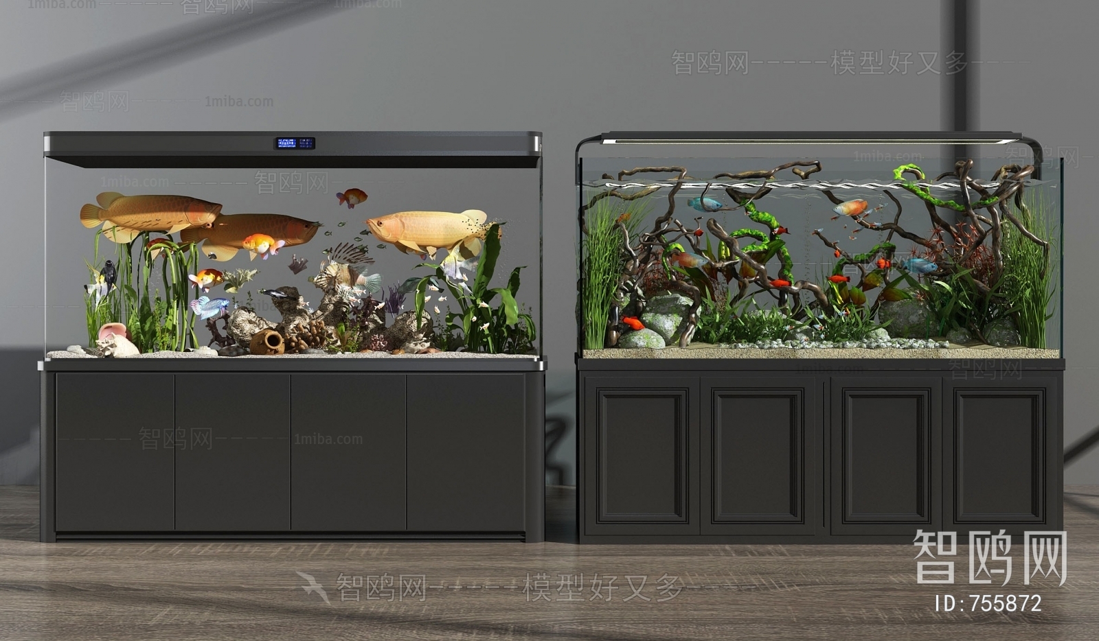 Modern Fish Tank