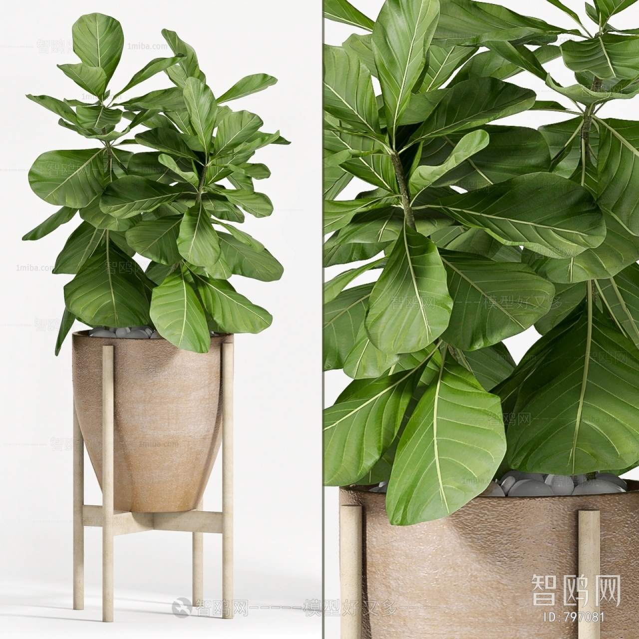 Modern Potted Green Plant