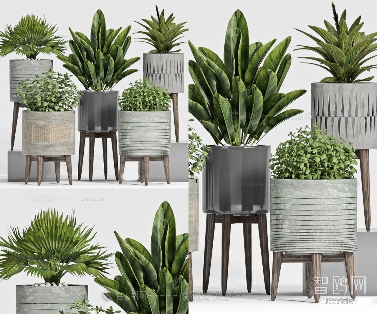 Modern Potted Green Plant