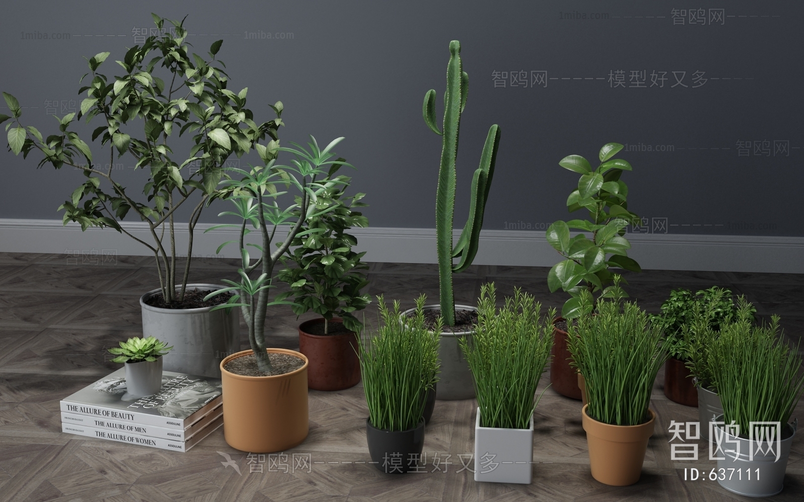 Modern Potted Green Plant