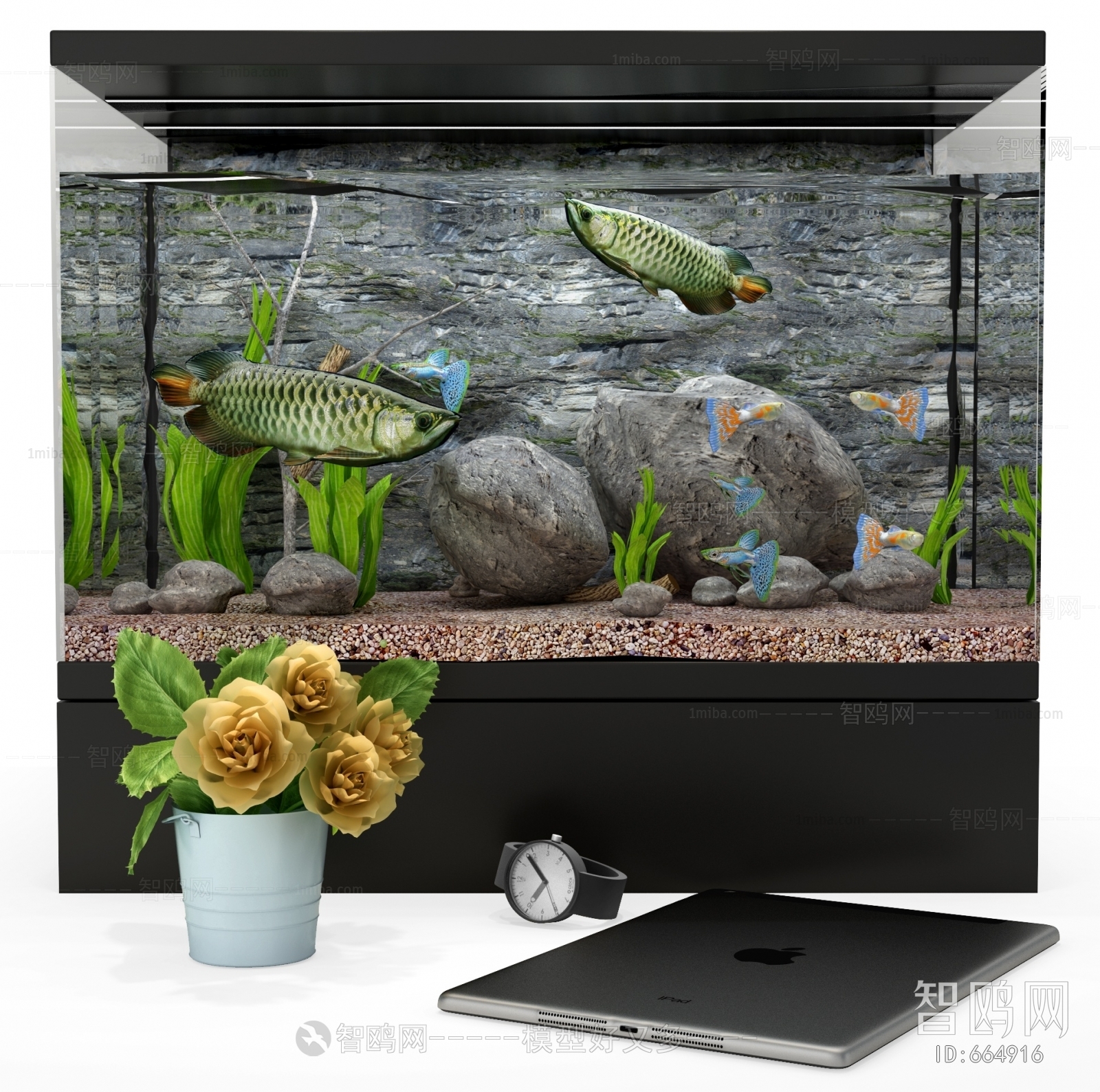 Modern Fish Tank