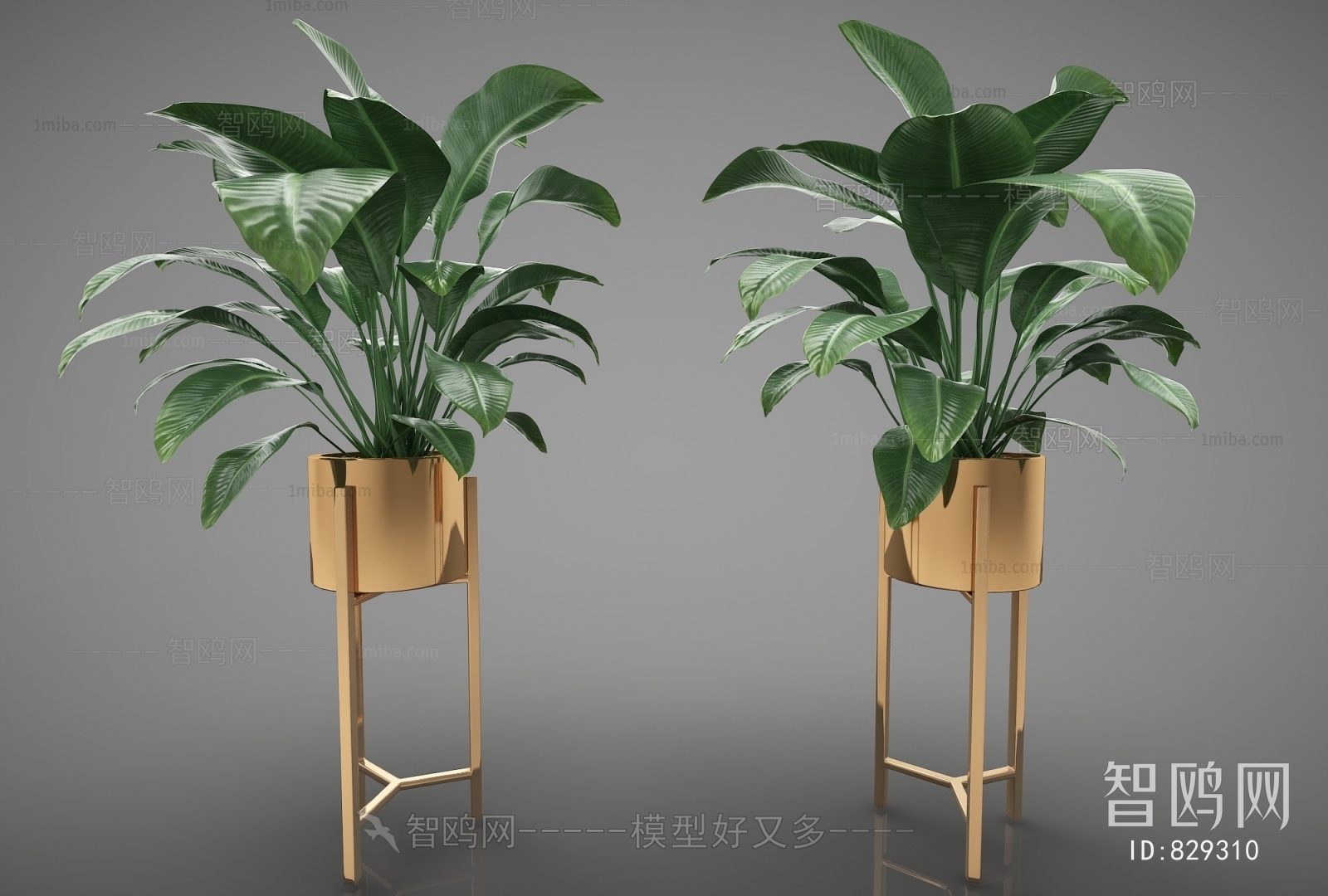 Modern Potted Green Plant