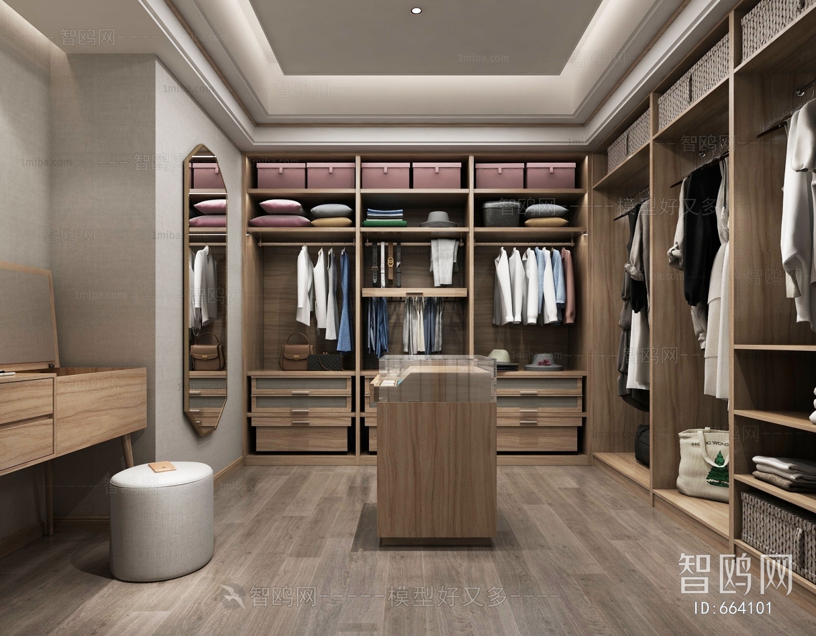 Modern Clothes Storage Area