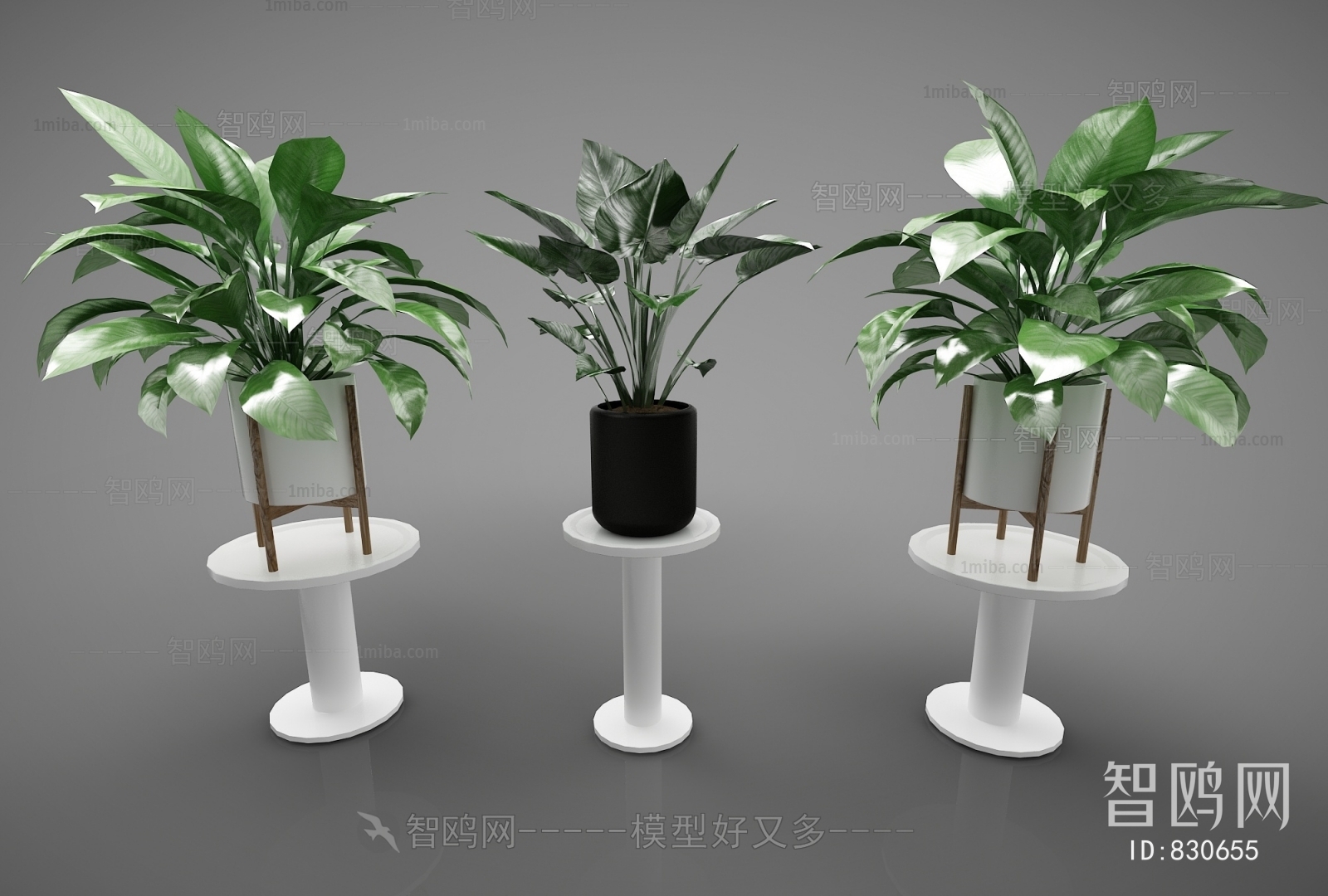 Modern Potted Green Plant