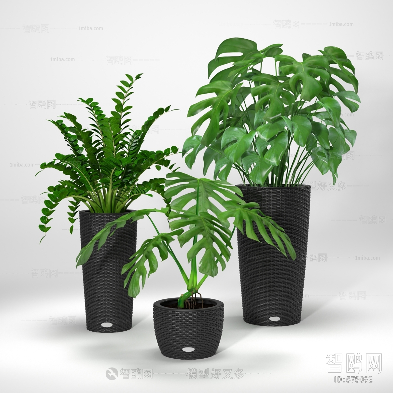 Modern Potted Green Plant