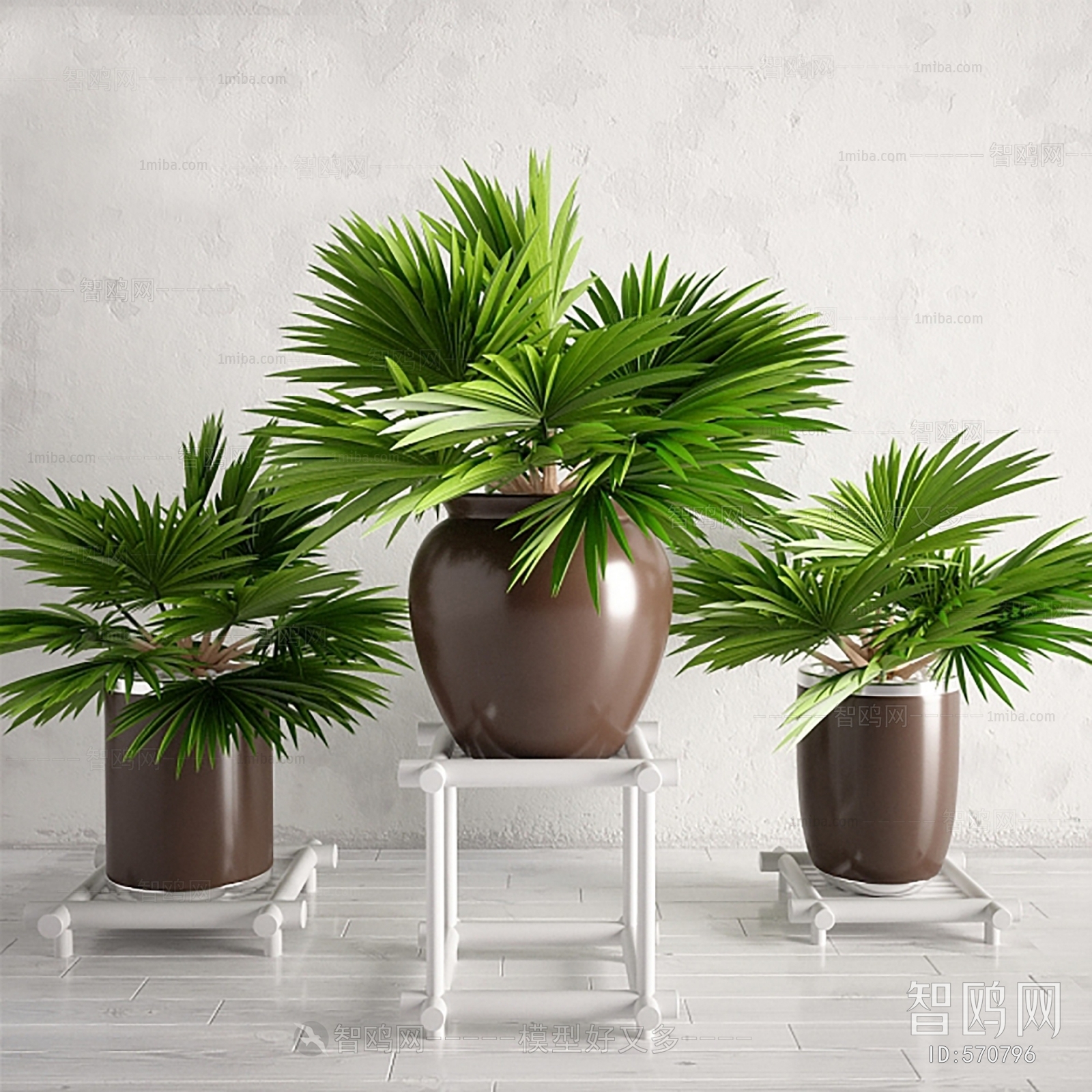 Modern Potted Green Plant