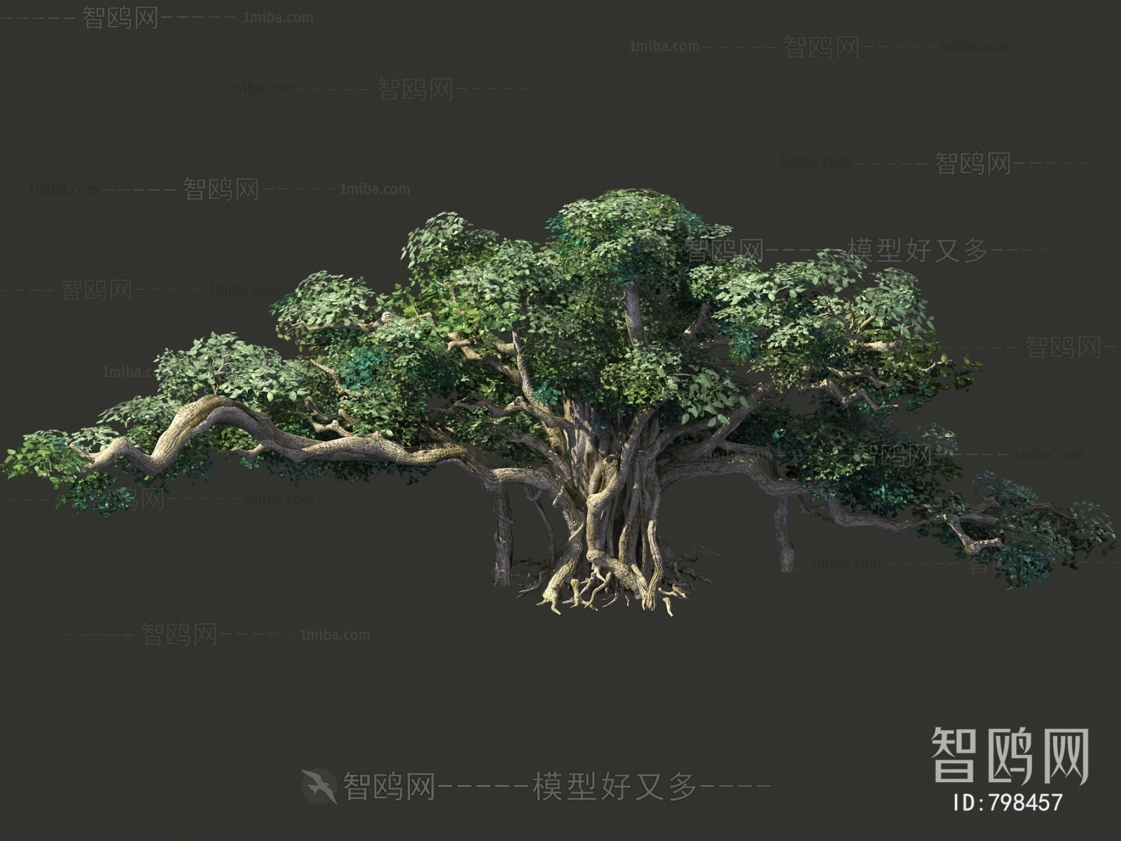 中式枯树