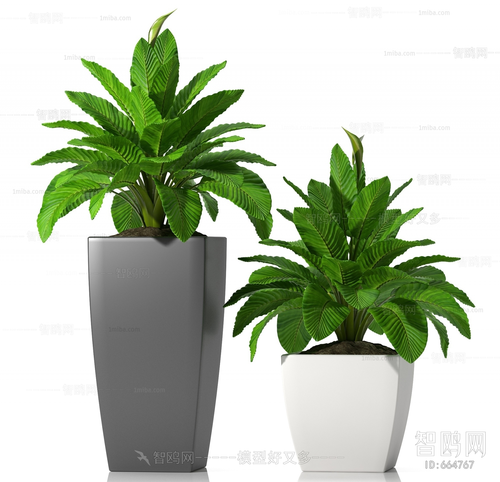 Modern Potted Green Plant