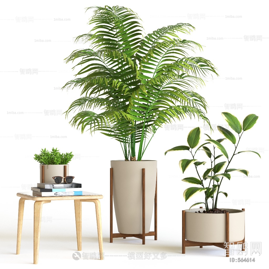 Modern Potted Green Plant