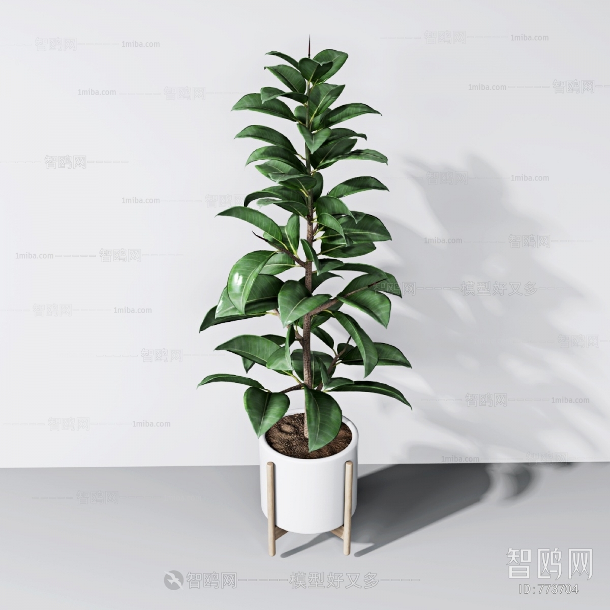 Modern Potted Green Plant