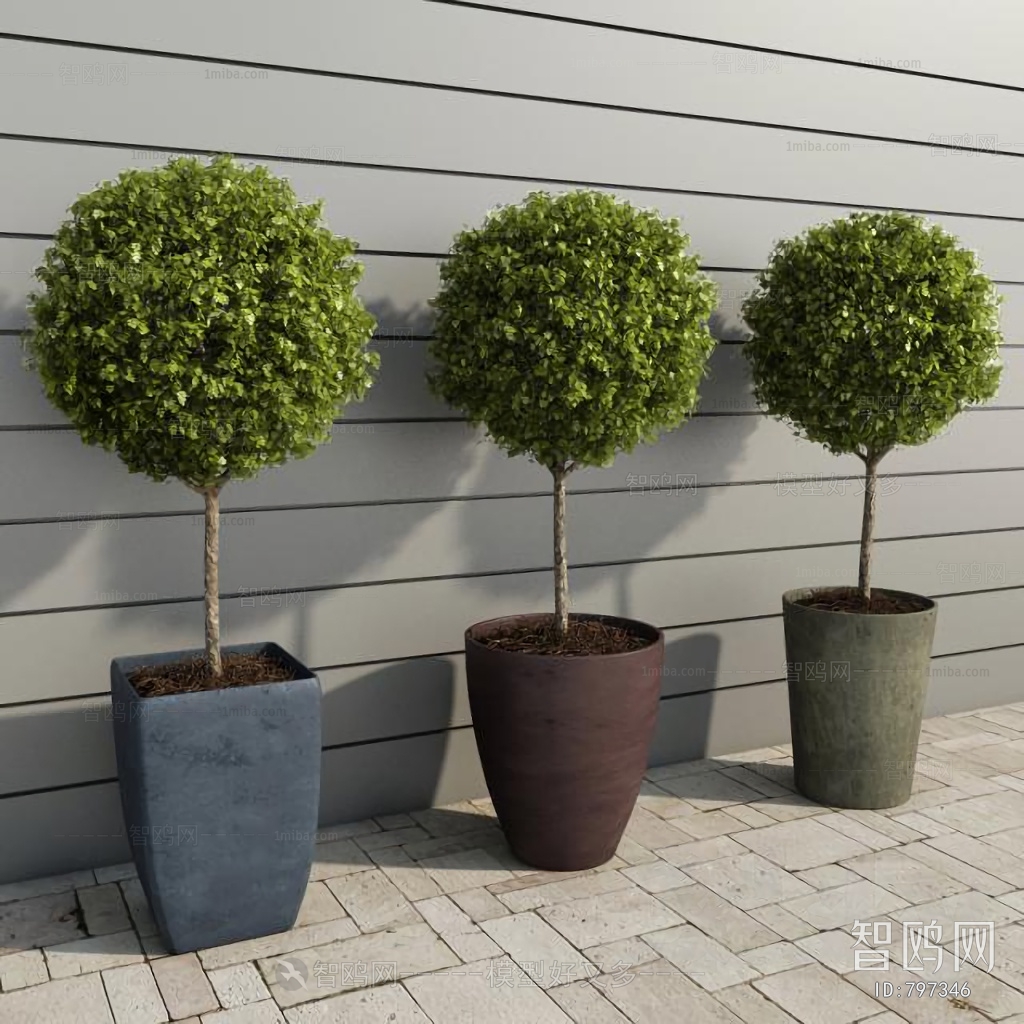 Modern Potted Green Plant