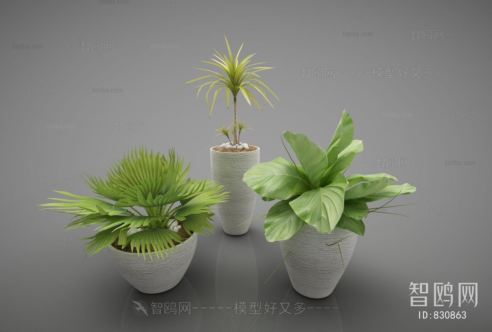 Modern Potted Green Plant