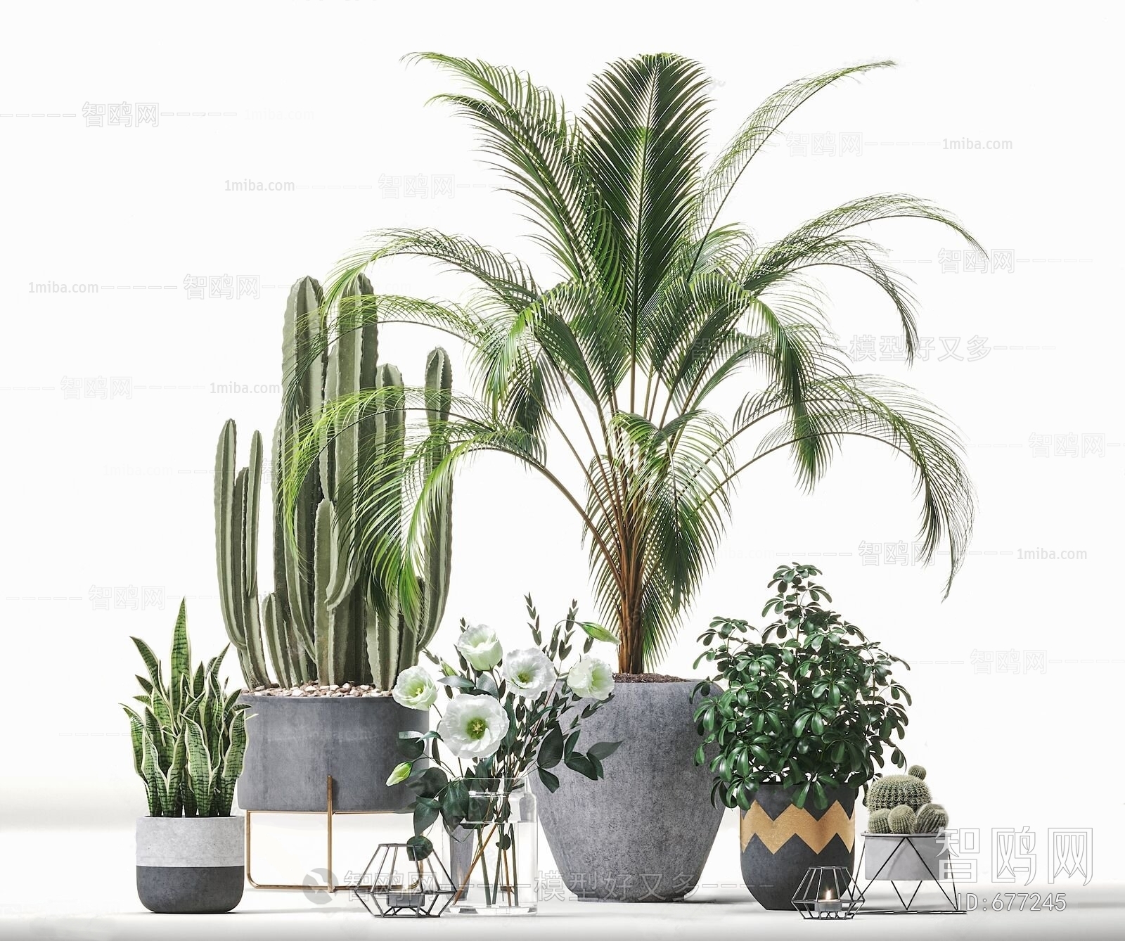 Modern Potted Green Plant