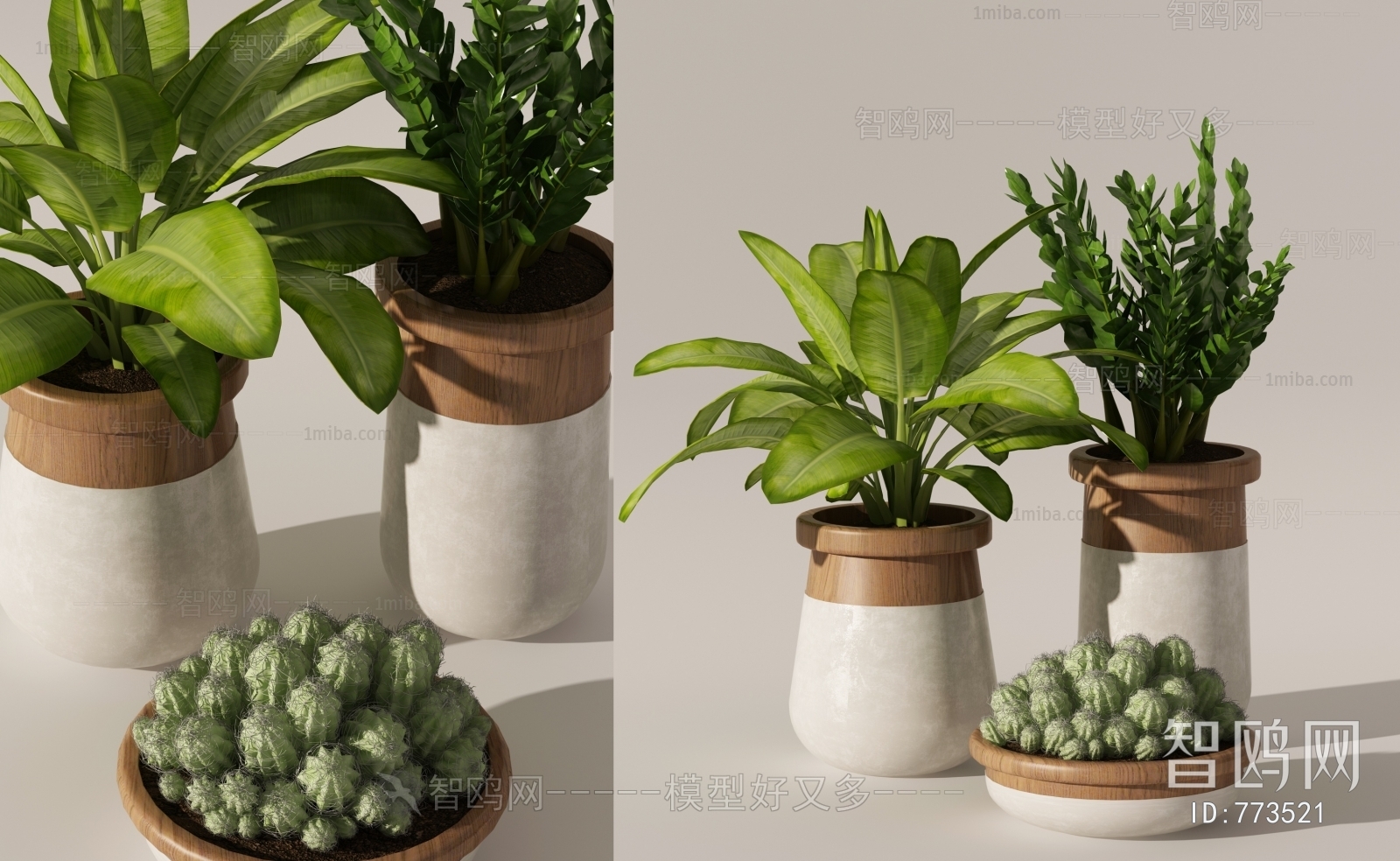 Modern Potted Green Plant