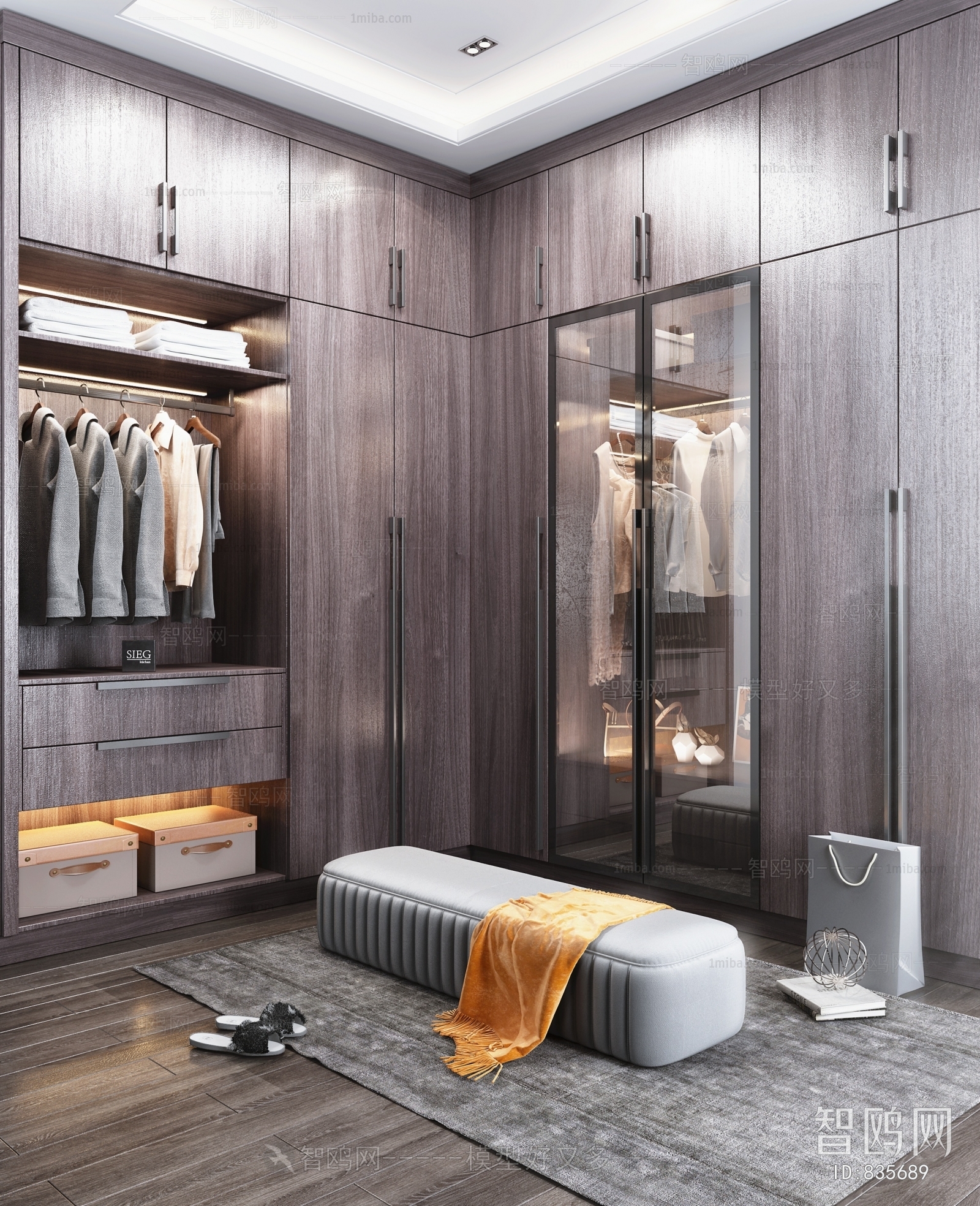 Modern Clothes Storage Area