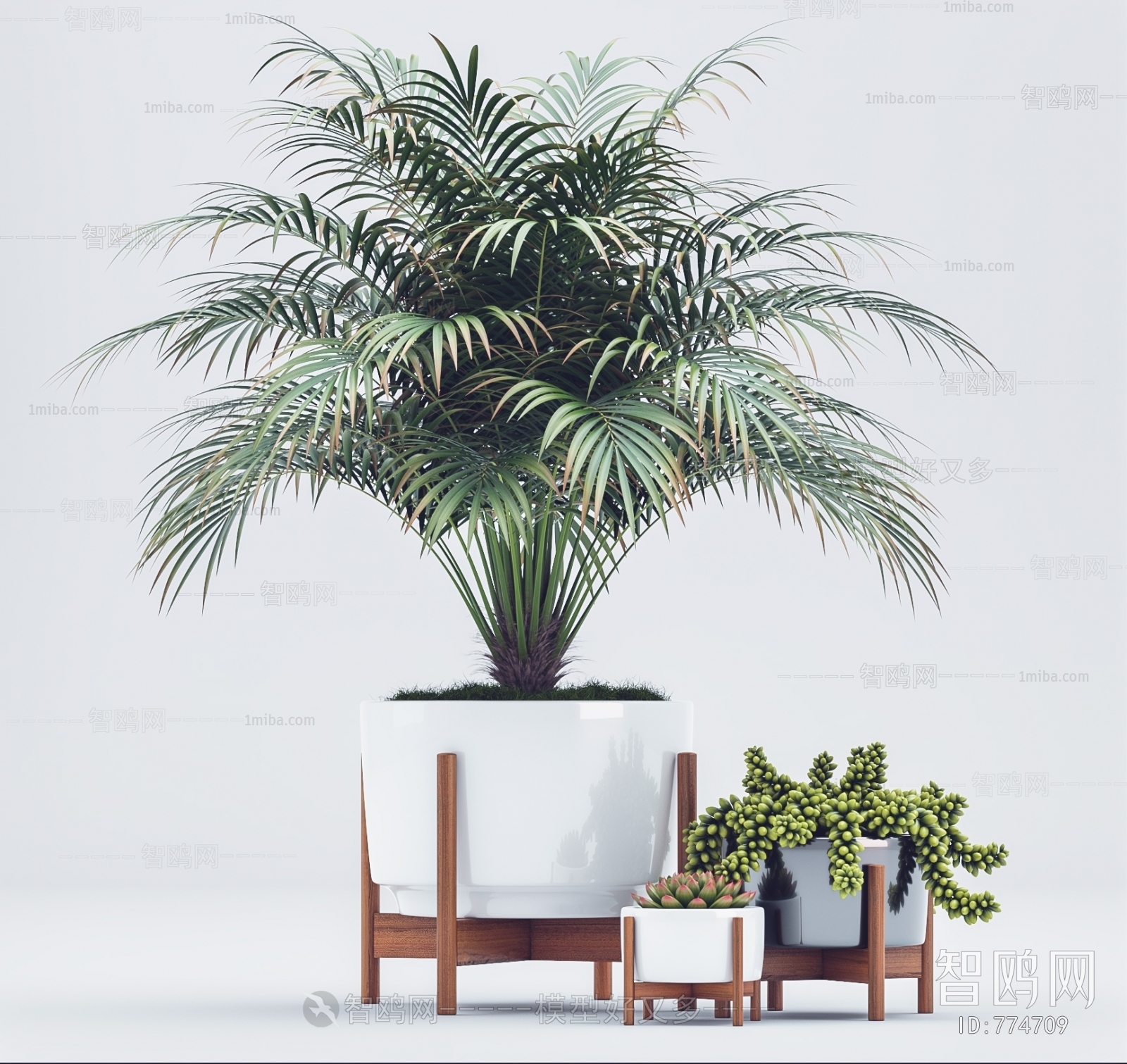 Modern Potted Green Plant