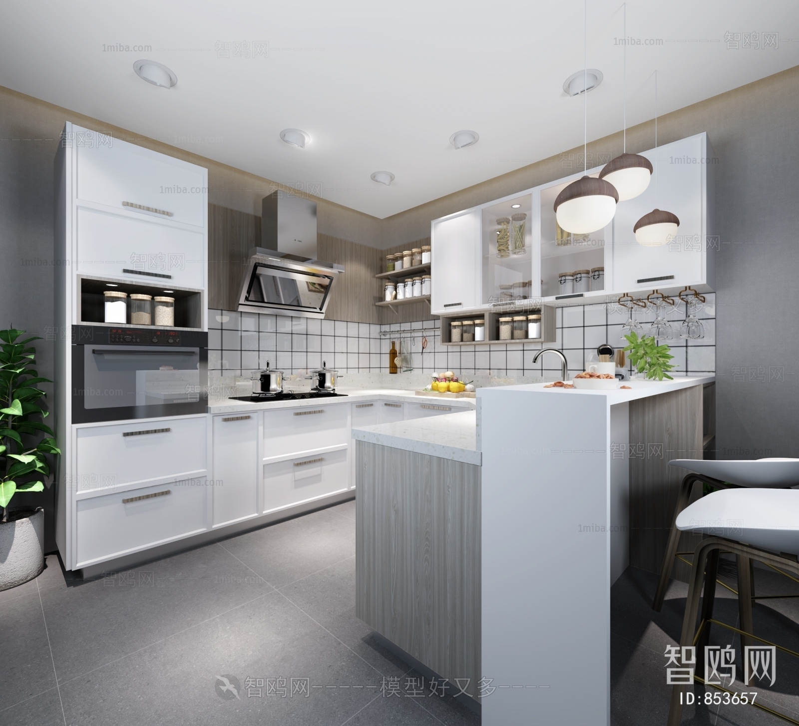 Modern Open Kitchen