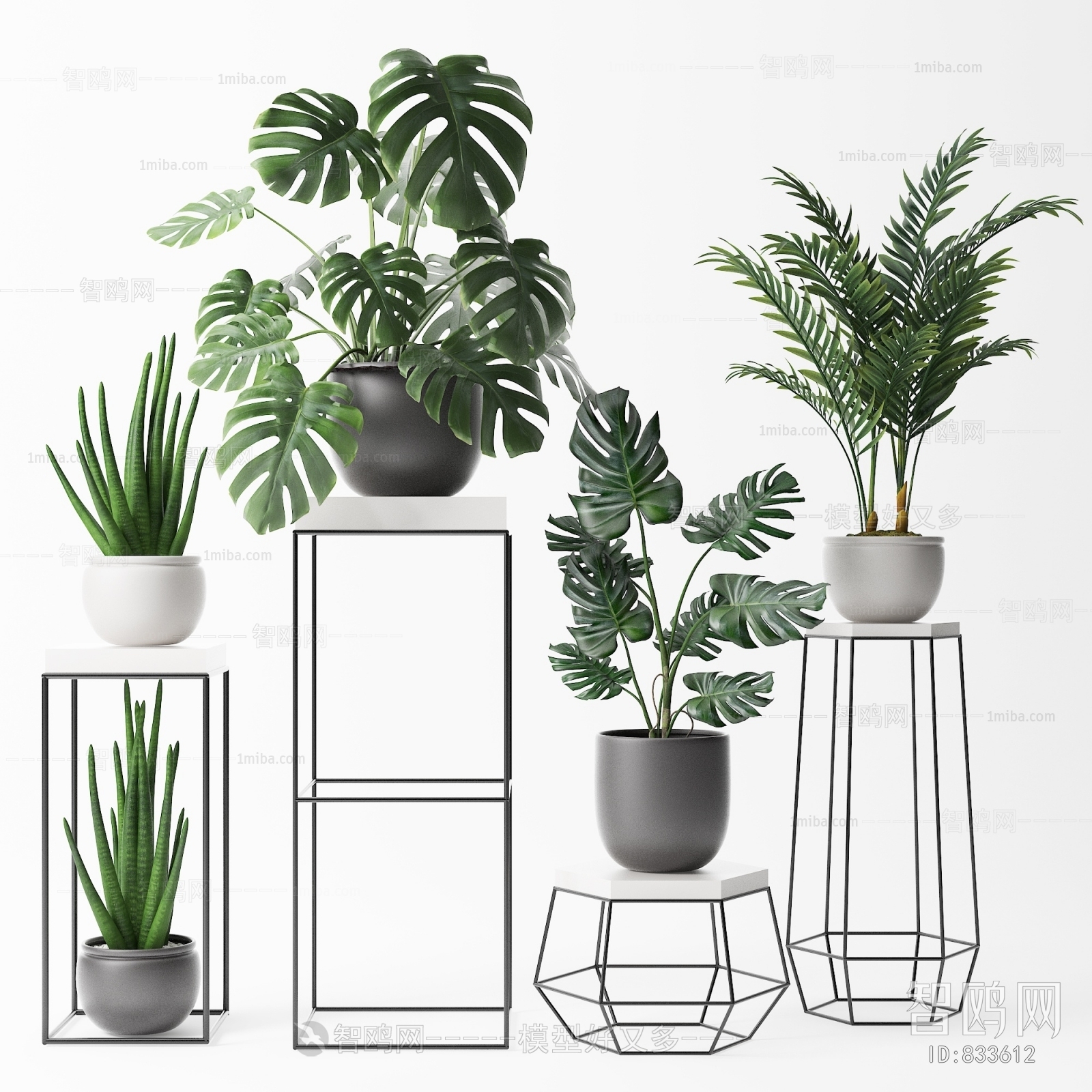 Modern Potted Green Plant