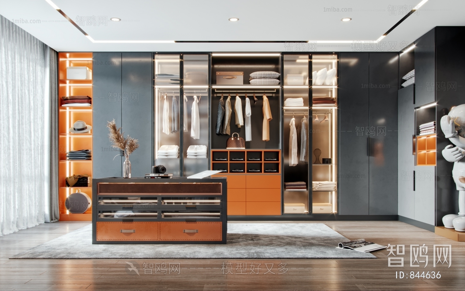 Modern Clothes Storage Area