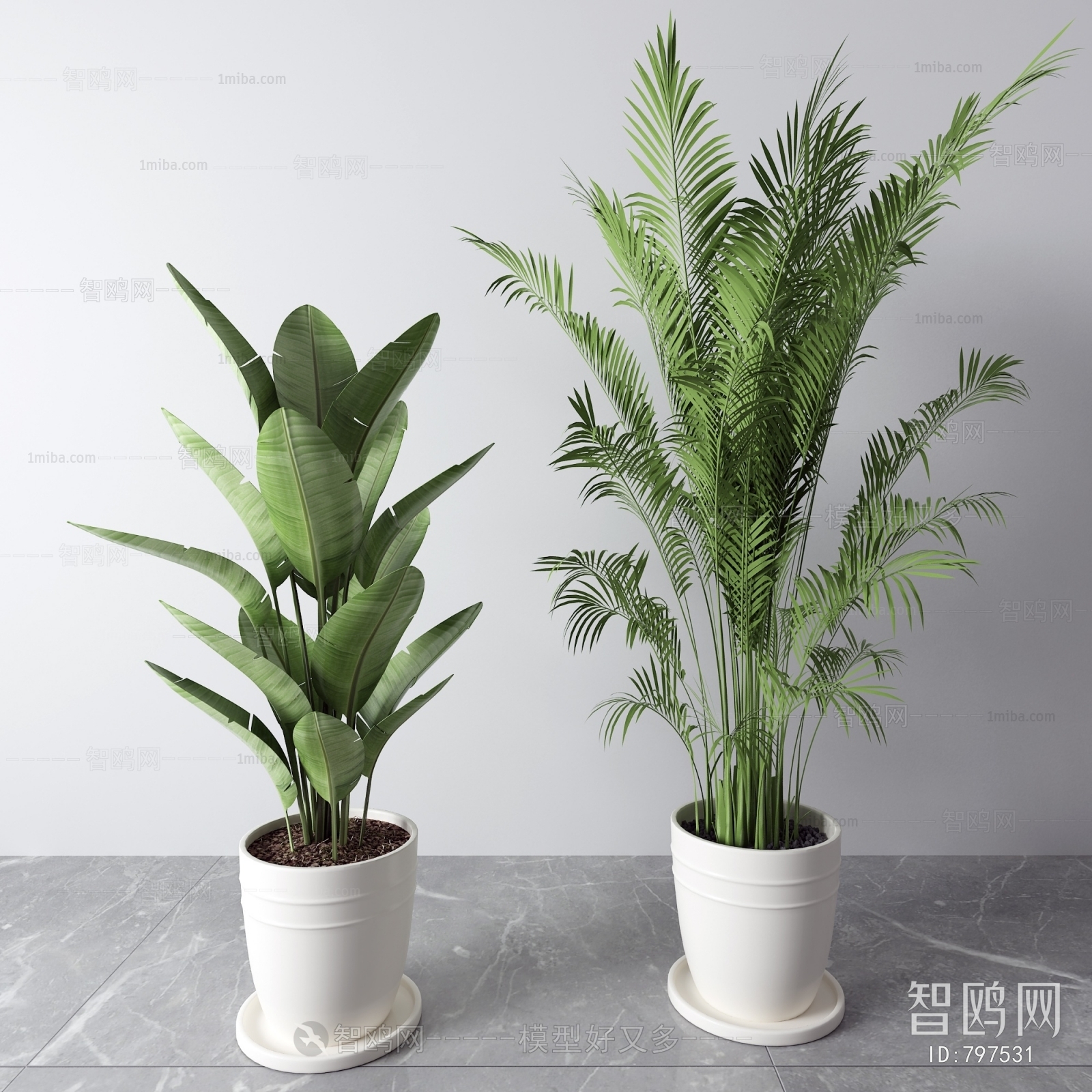 Modern Potted Green Plant