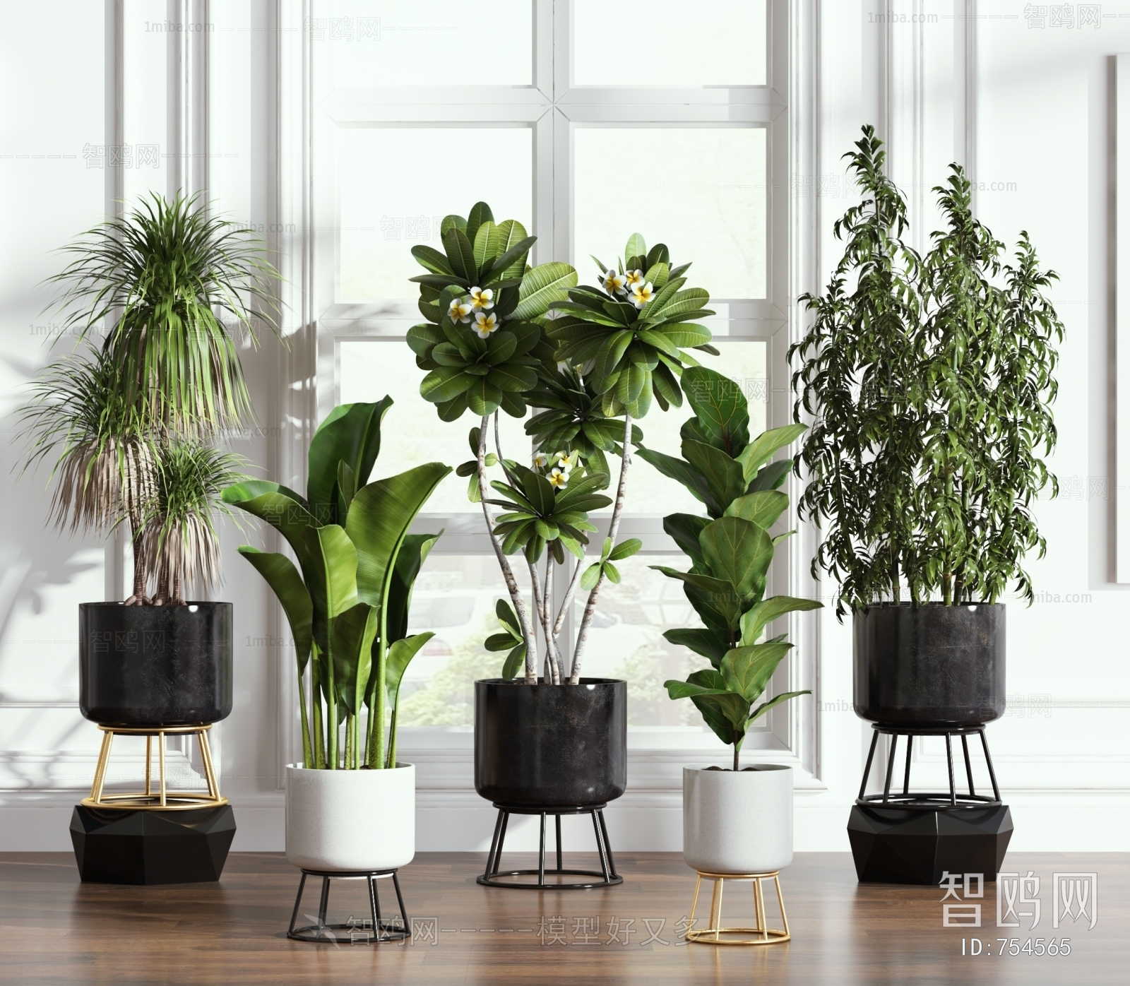Modern Potted Green Plant