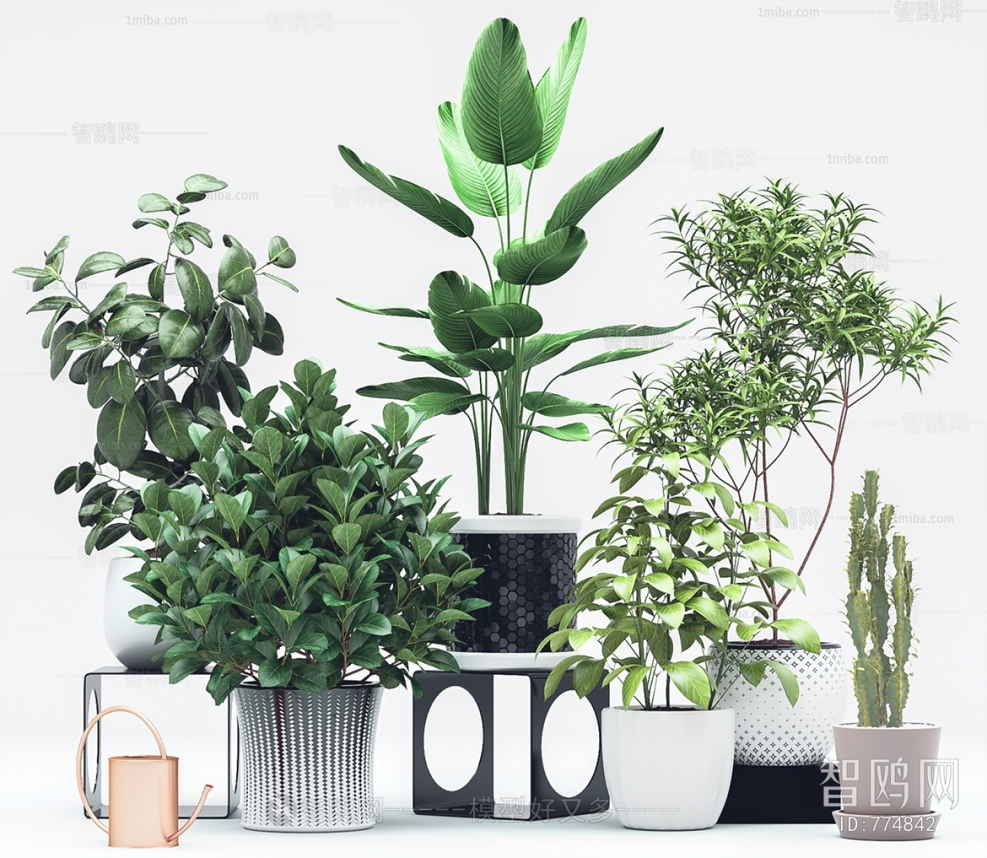 Modern Potted Green Plant