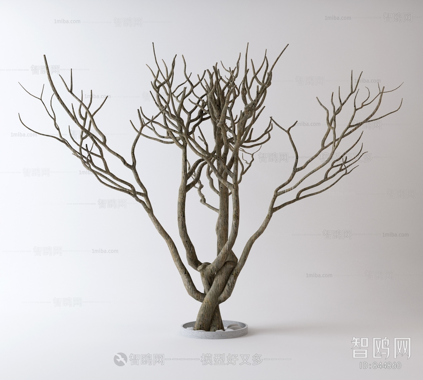 现代干枝装饰树