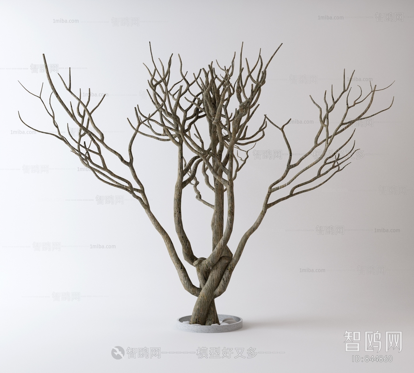 Modern Dried Branch