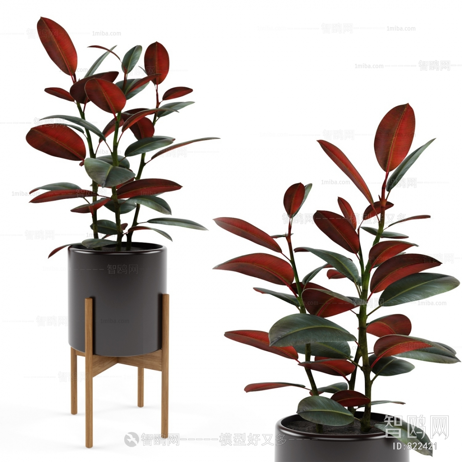 Modern Potted Green Plant