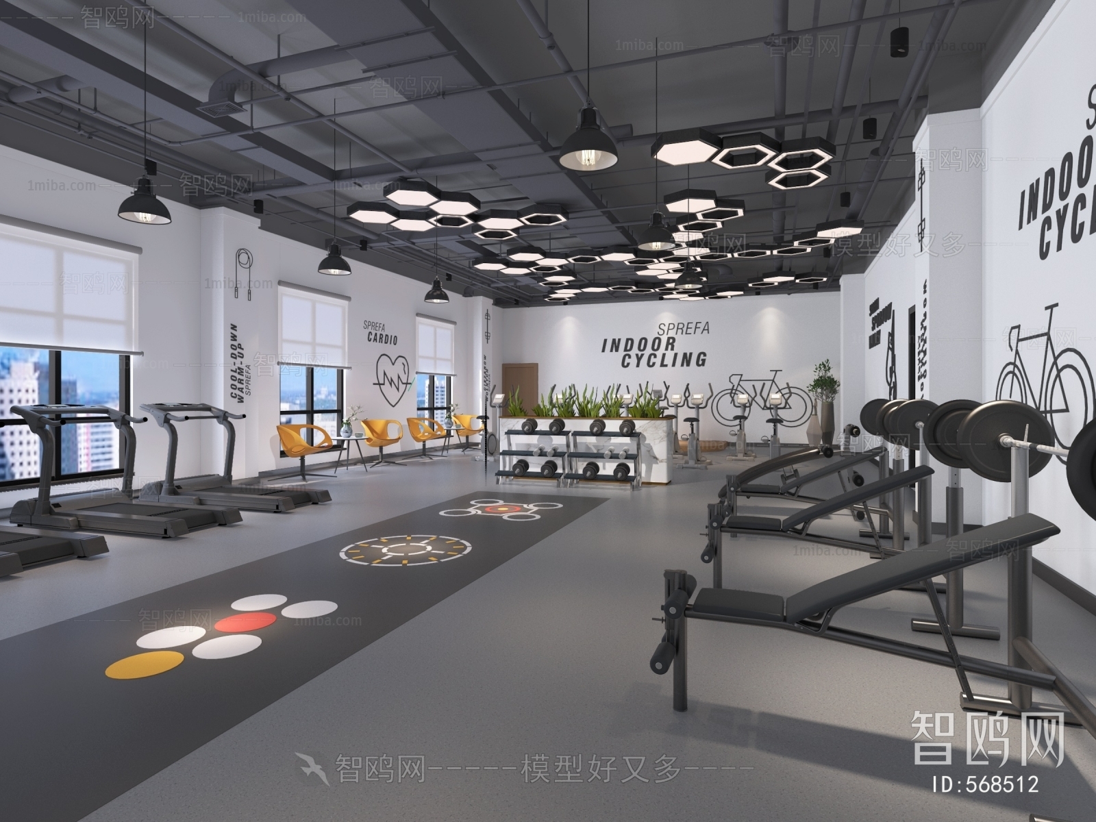 Modern Gym