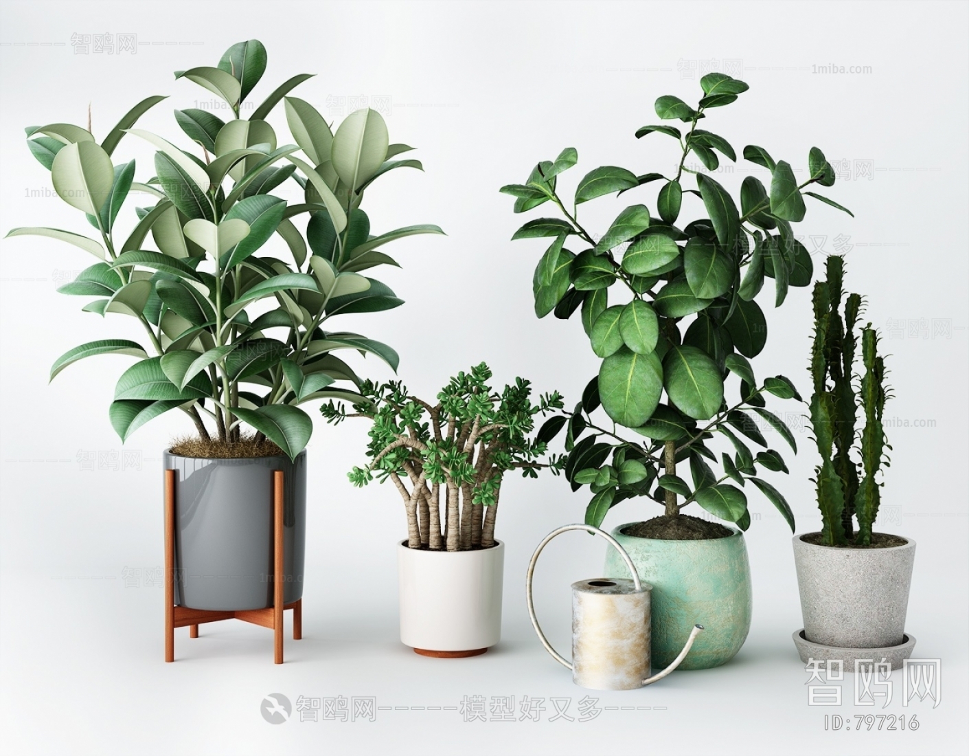 Modern Potted Green Plant