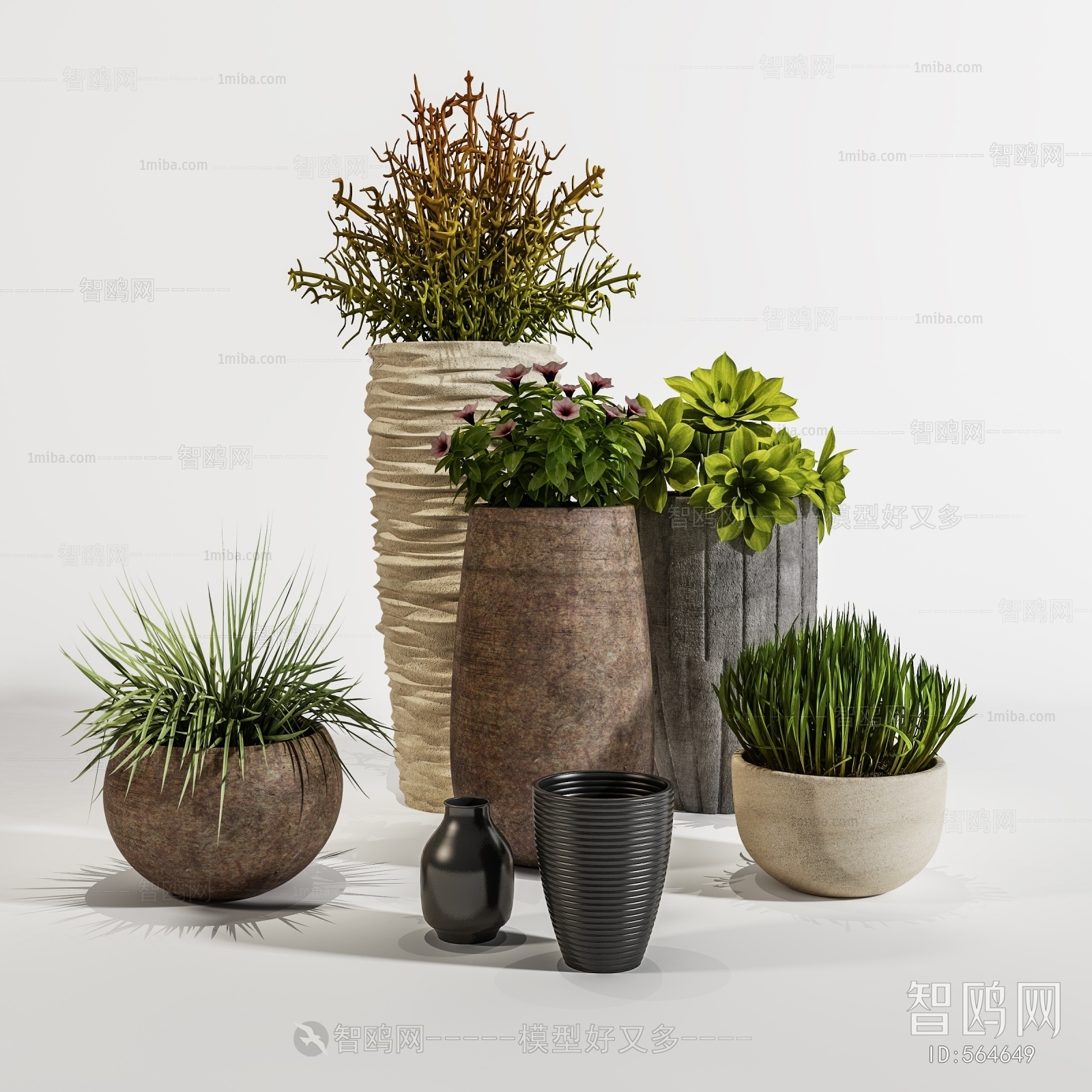 Modern Potted Green Plant