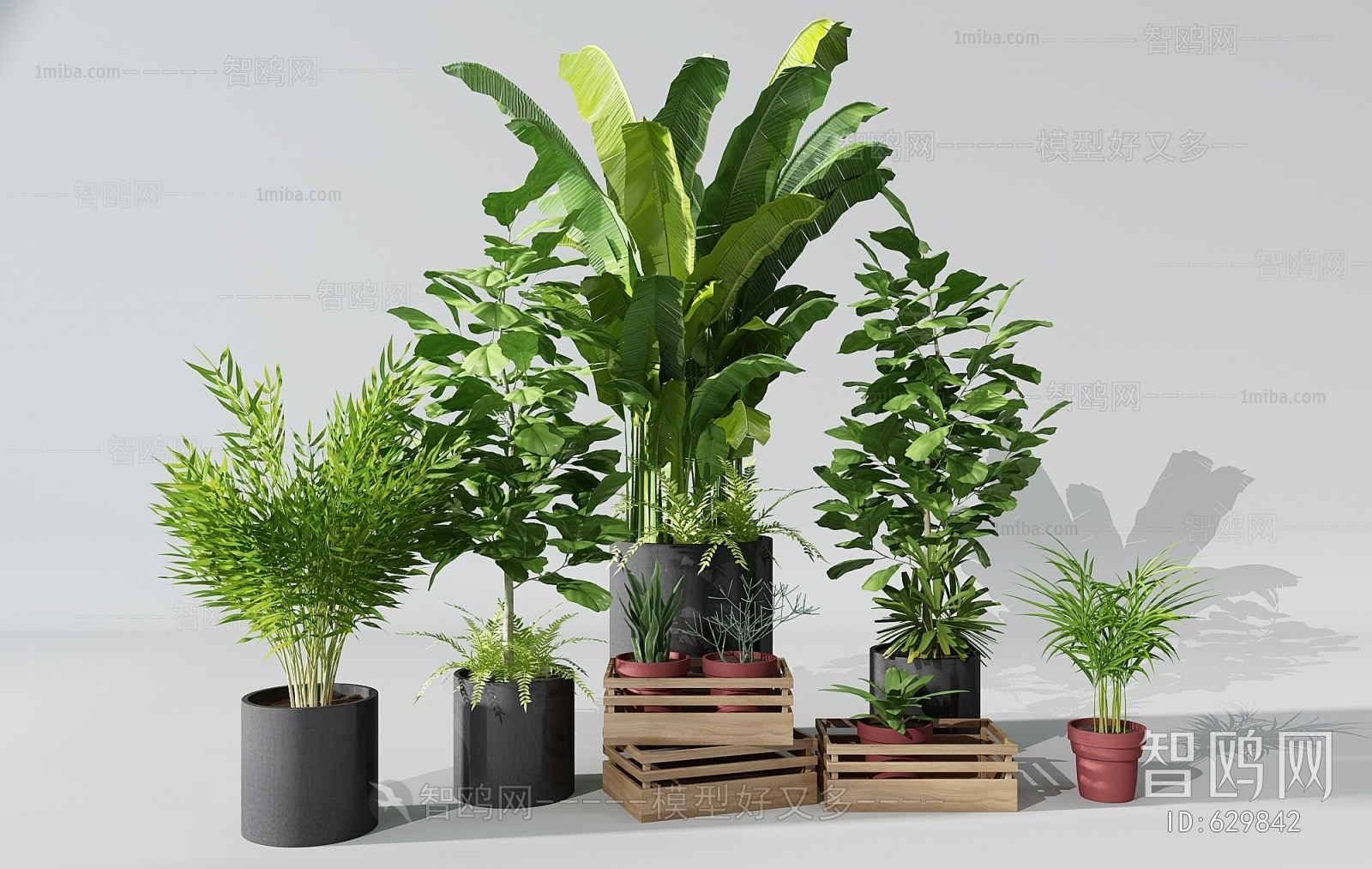 Modern Potted Green Plant