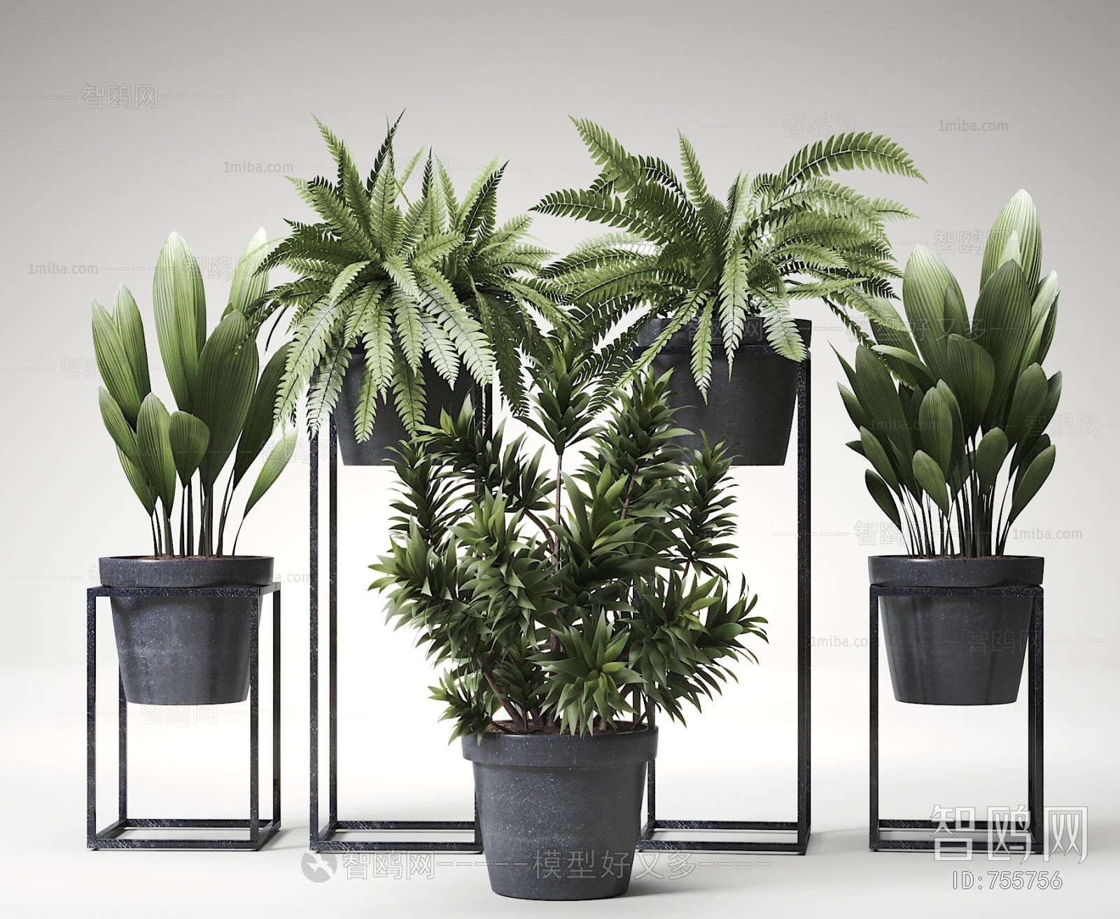 Modern Potted Green Plant