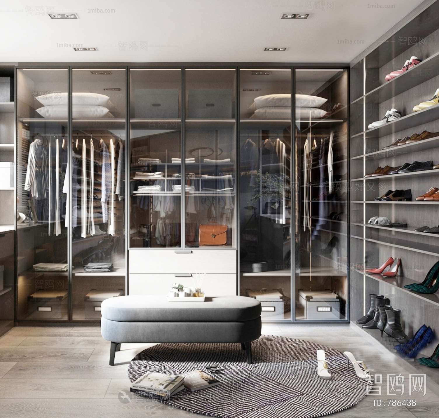 Modern Clothes Storage Area