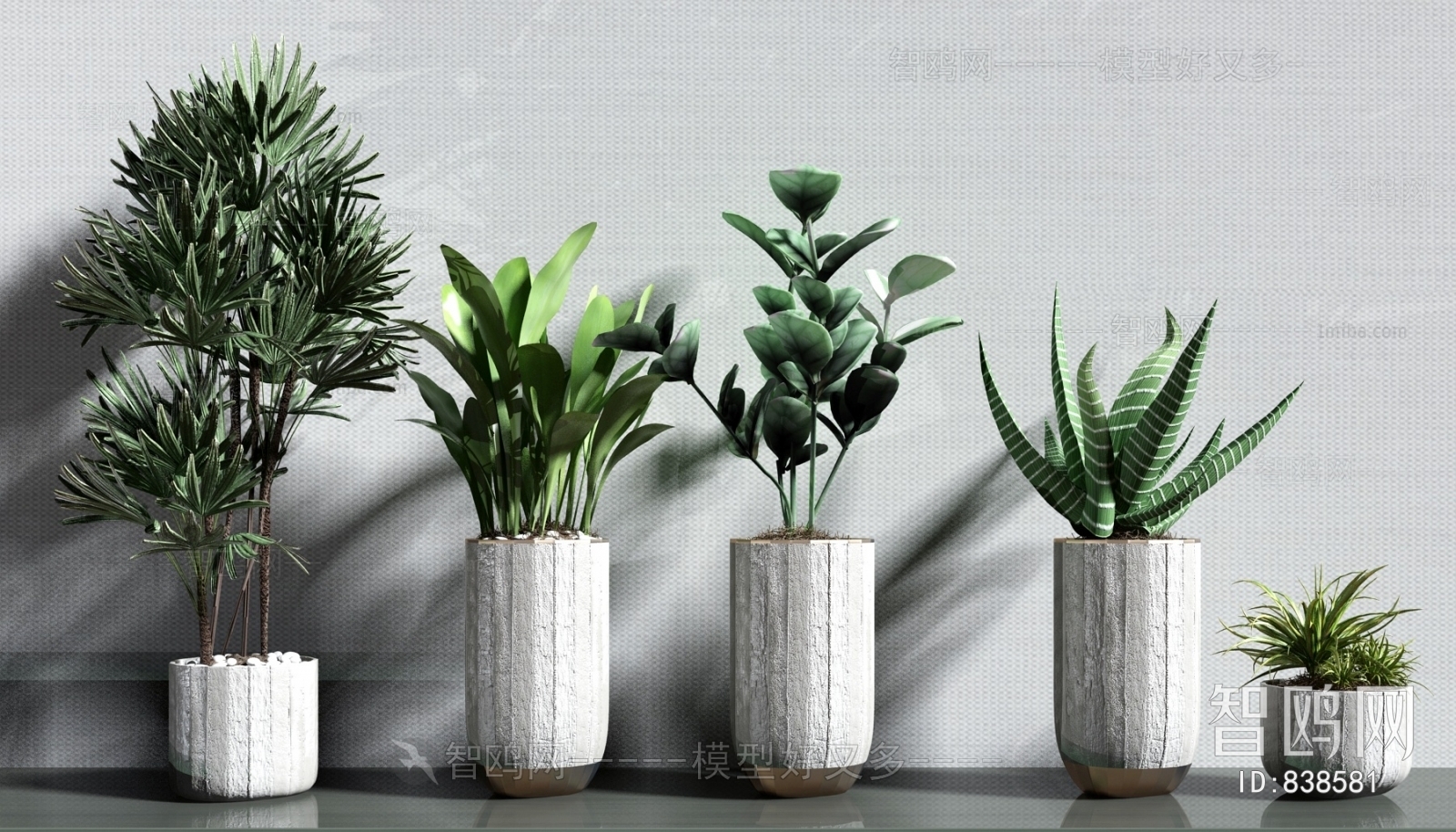 Modern Potted Green Plant