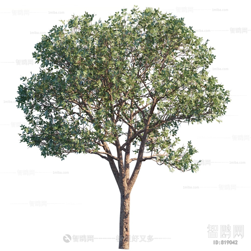 Modern Tree