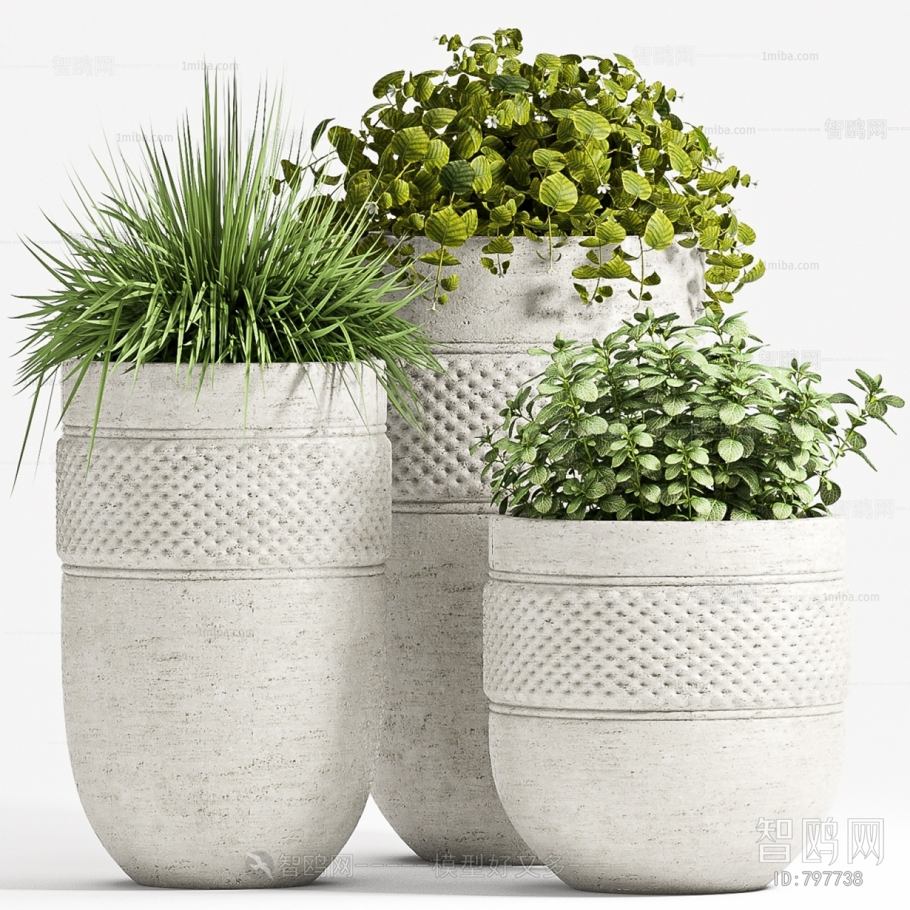 Modern Potted Green Plant