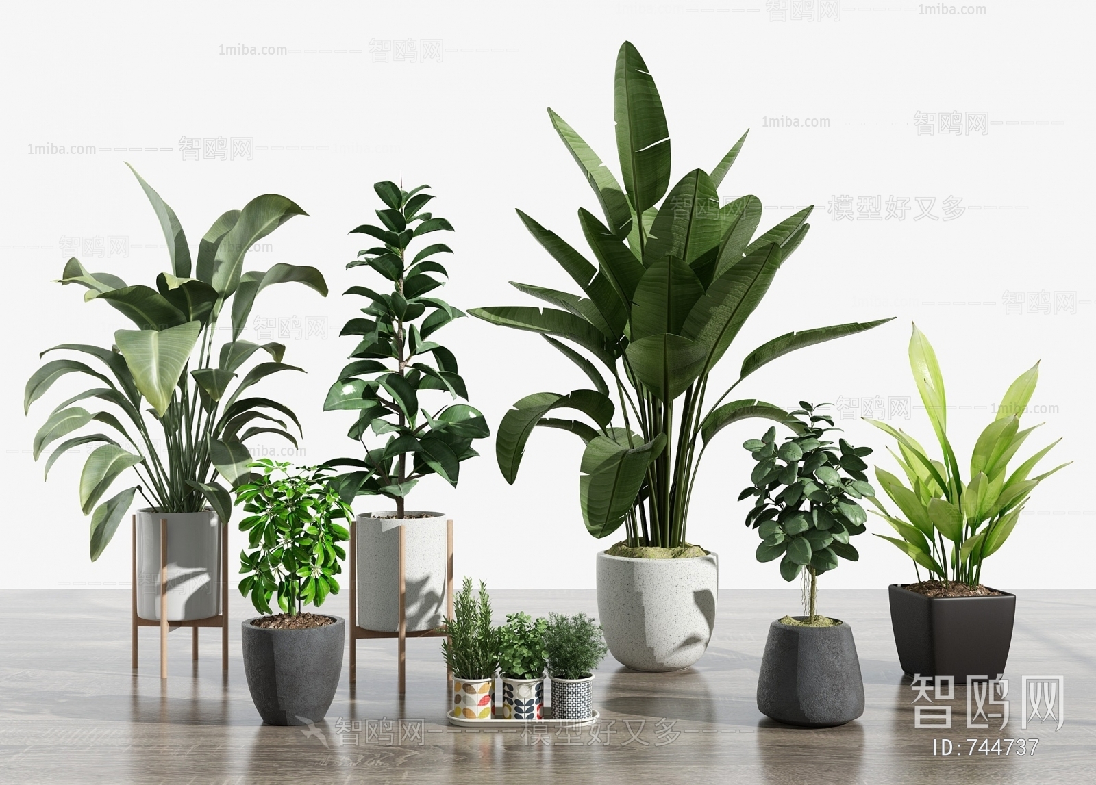 Modern Potted Green Plant