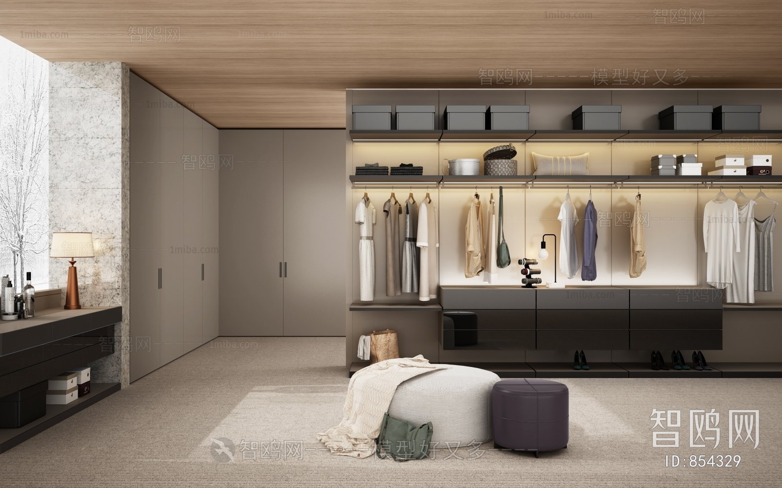 Modern Clothes Storage Area