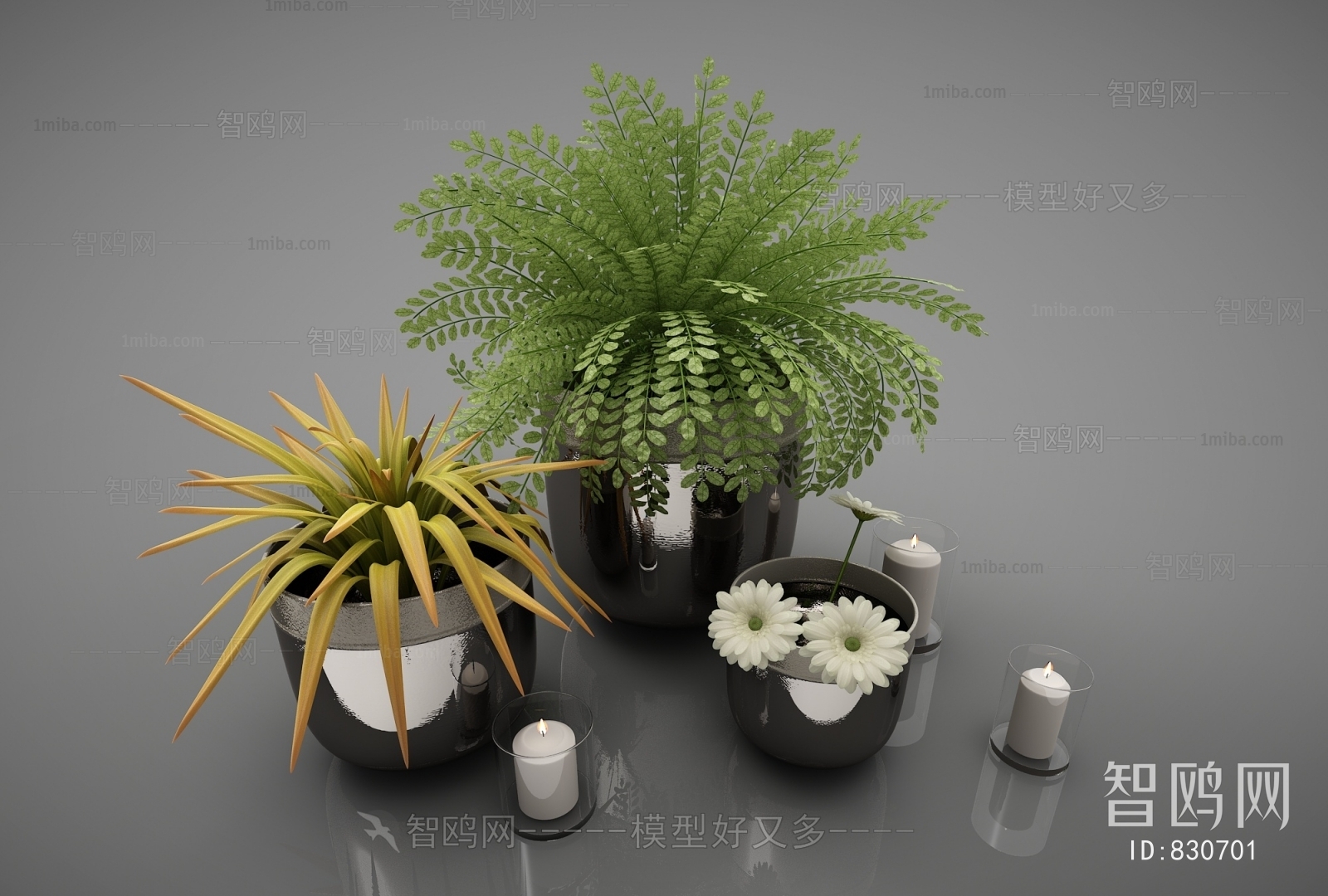 Modern Potted Green Plant