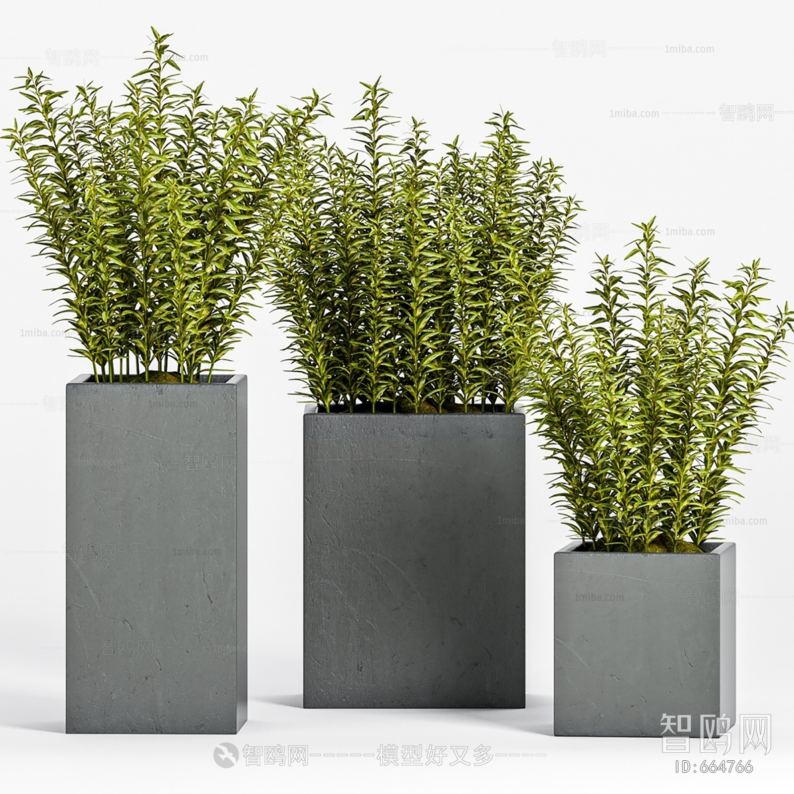 Modern Potted Green Plant