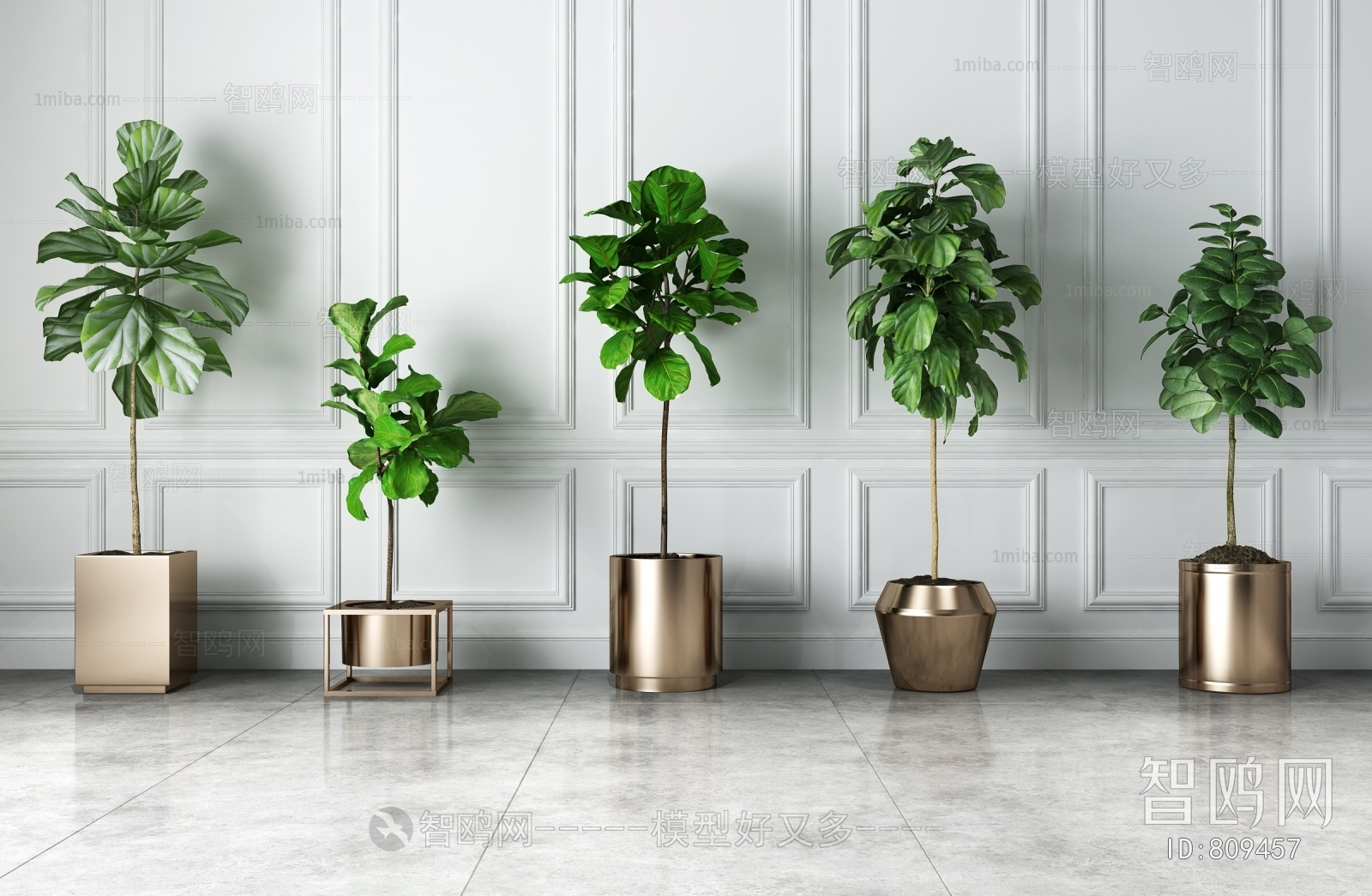 Modern Potted Green Plant