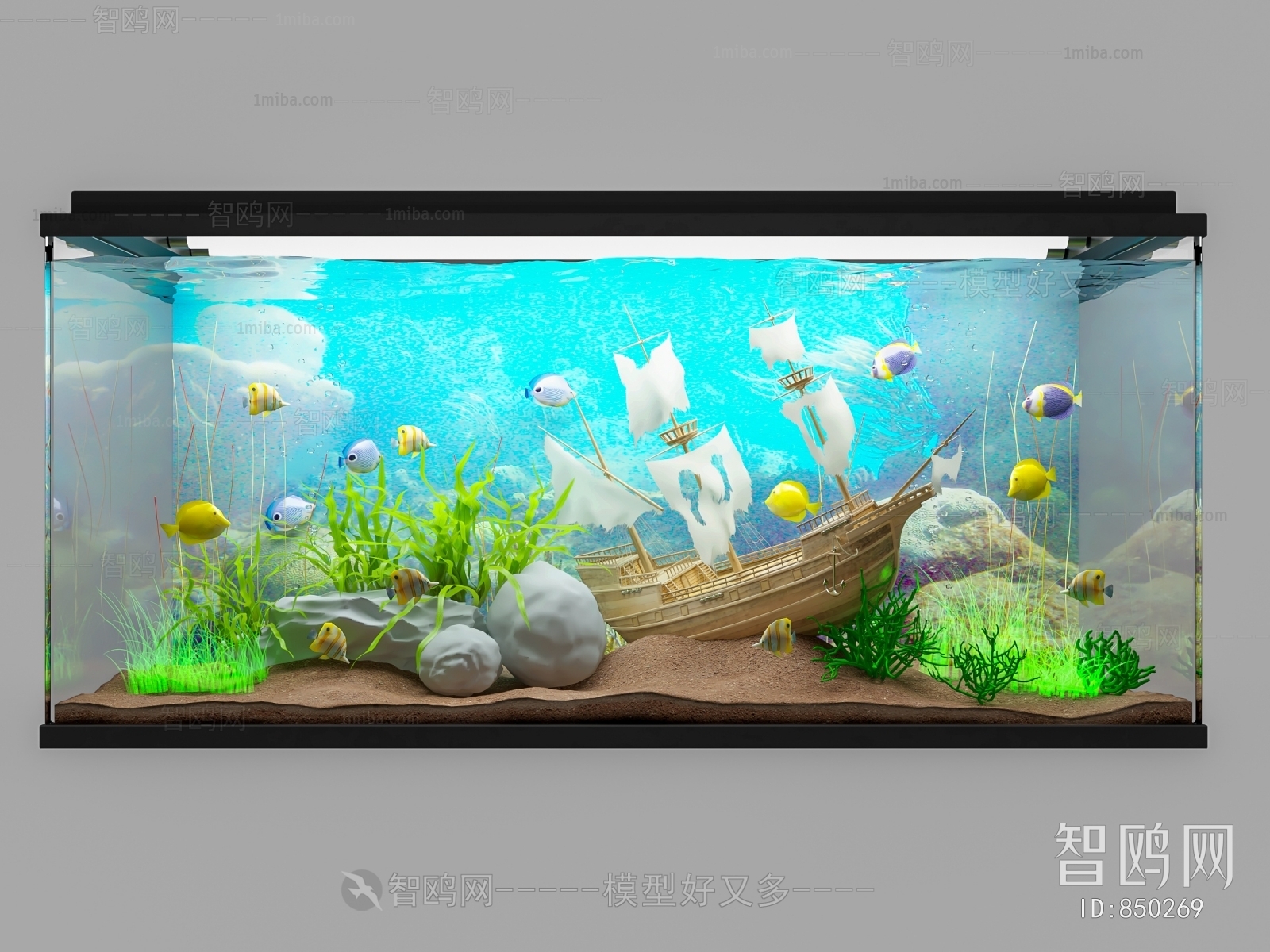 Modern Fish Tank