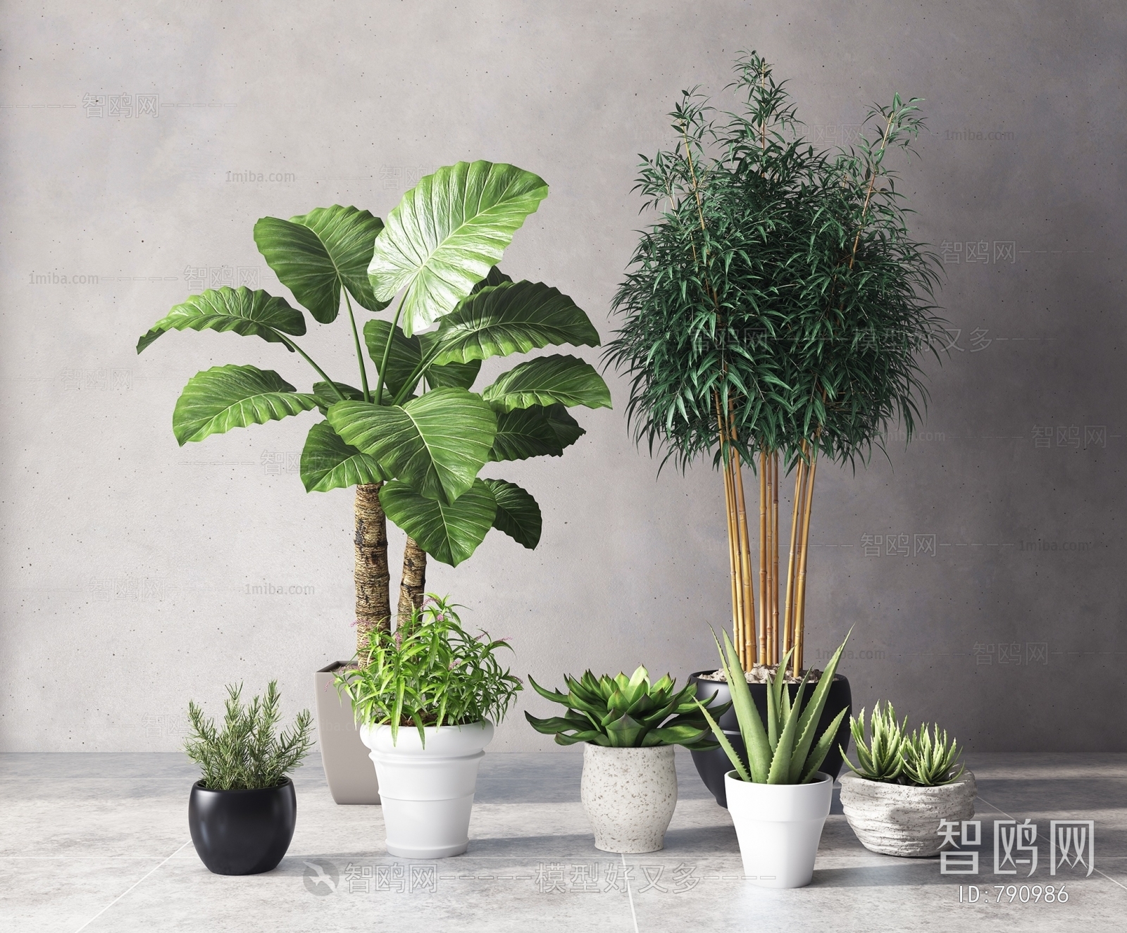 Modern Potted Green Plant