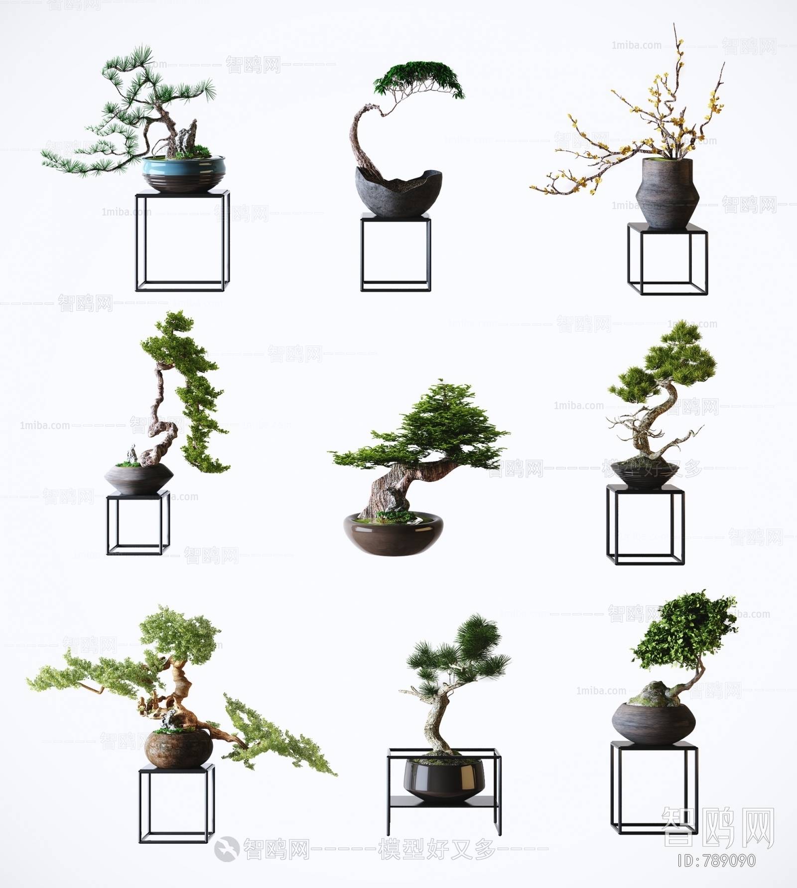 New Chinese Style Bonsai