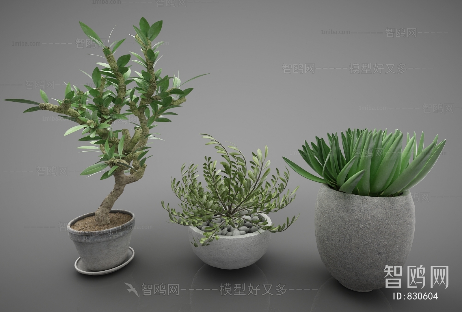 Modern Potted Green Plant