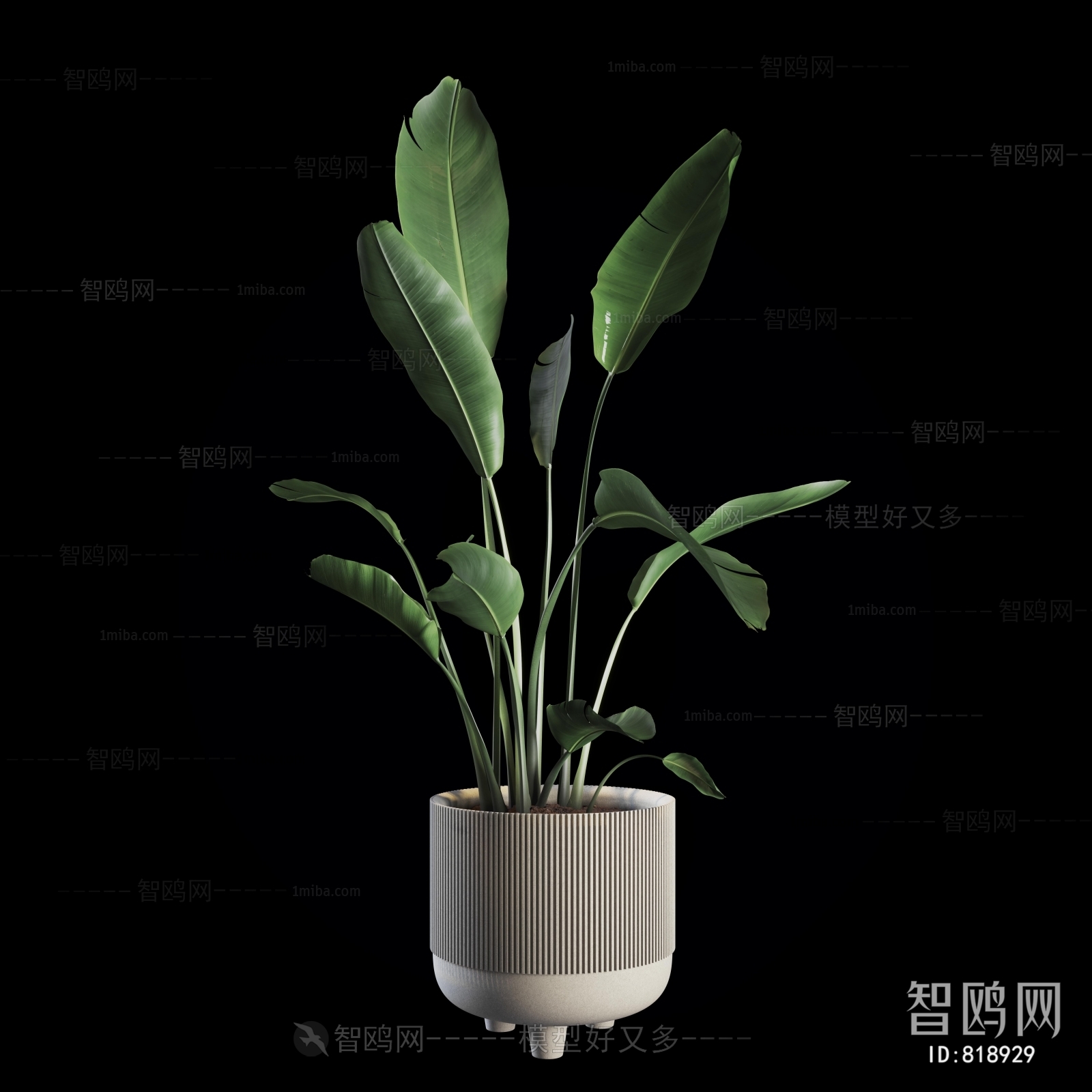 Modern Potted Green Plant